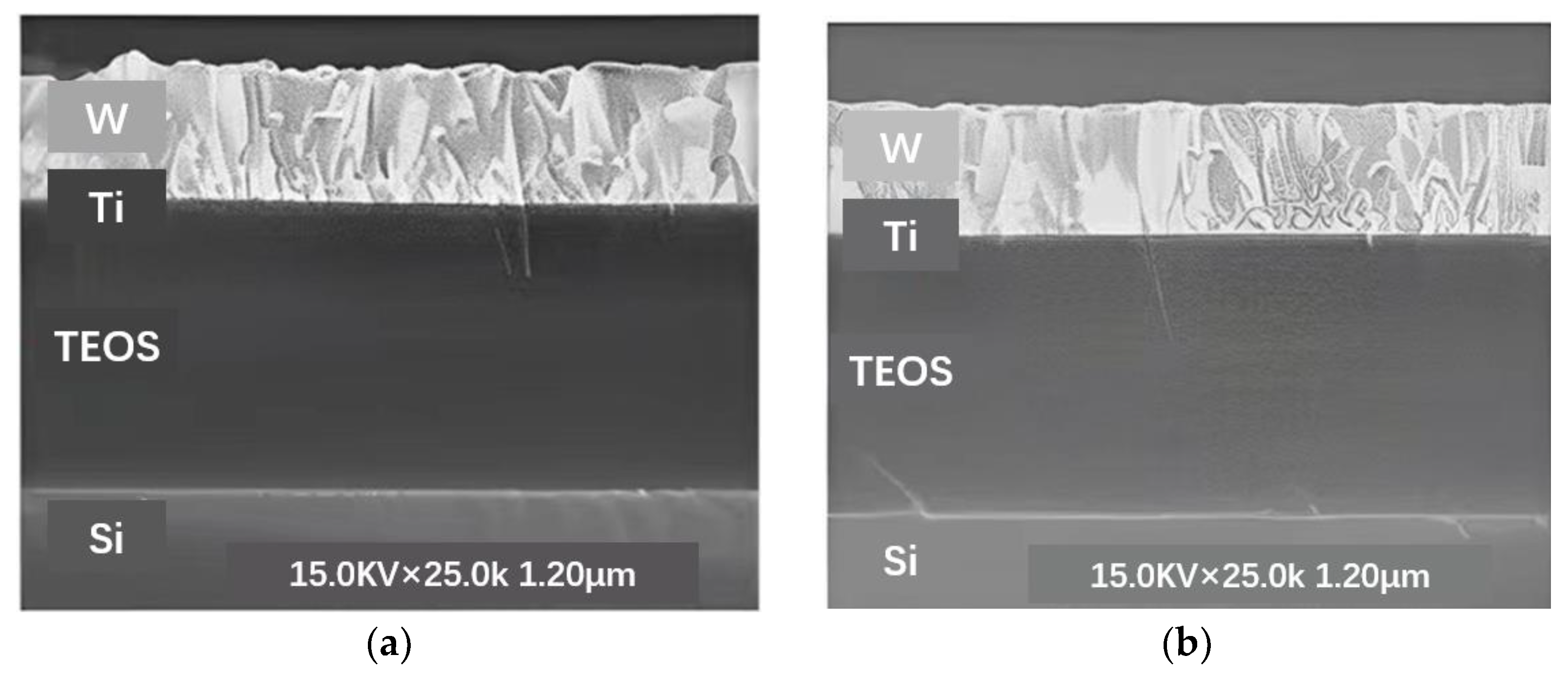 Micromachines 14 01391 g012