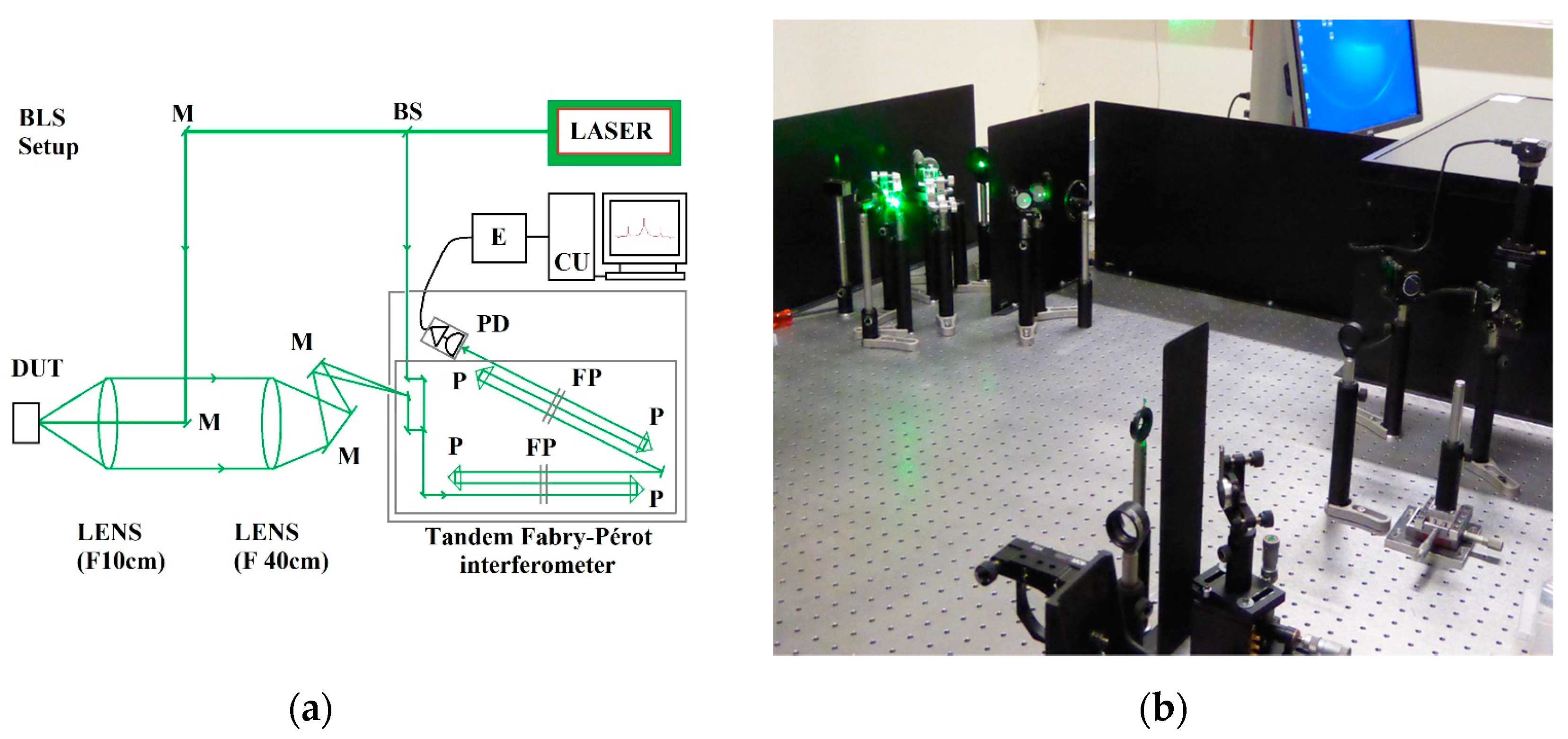 Micromachines 14 01429 g002