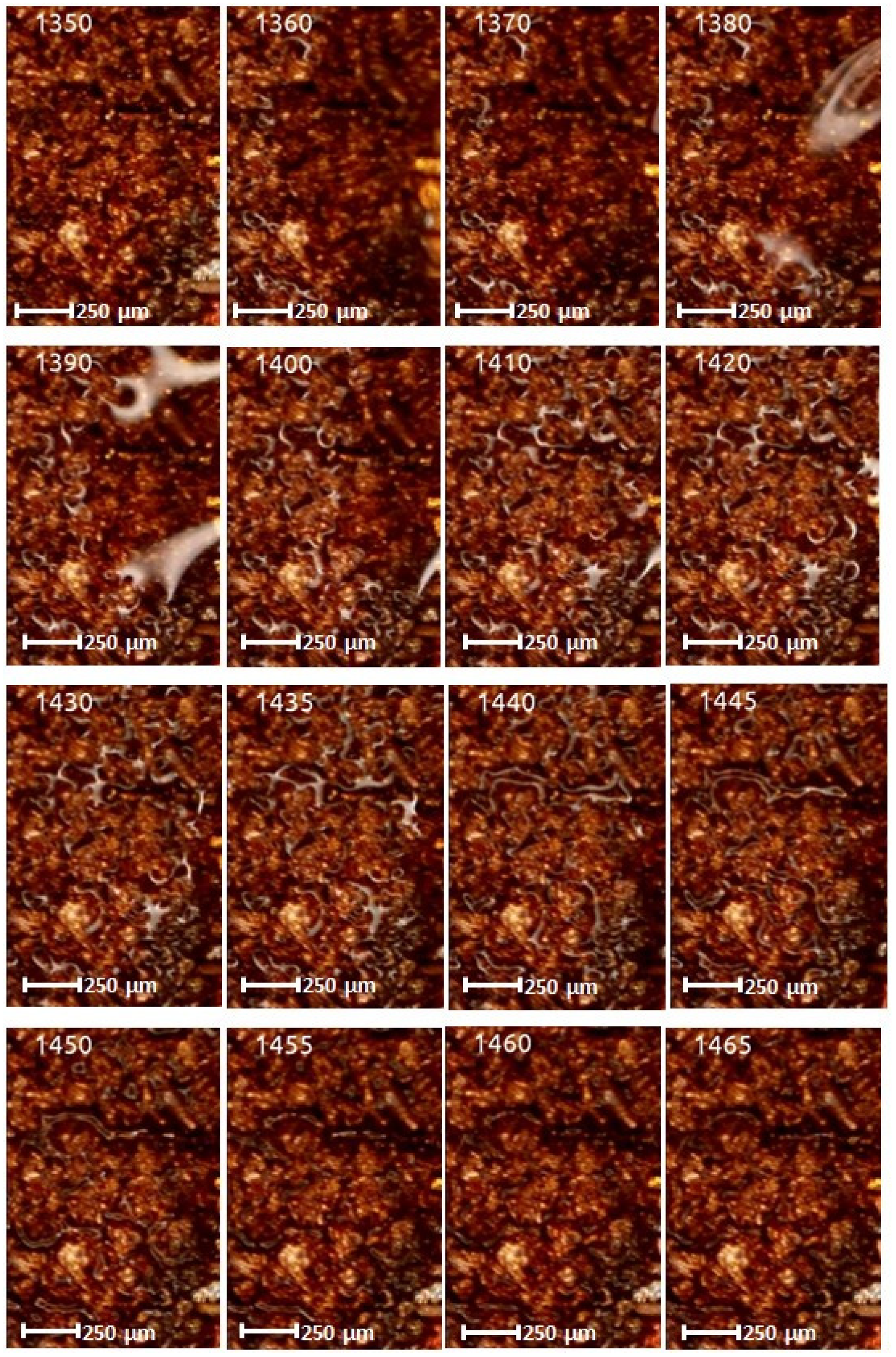 Micromachines 14 01468 g014 Micromachines 14 01468 g014