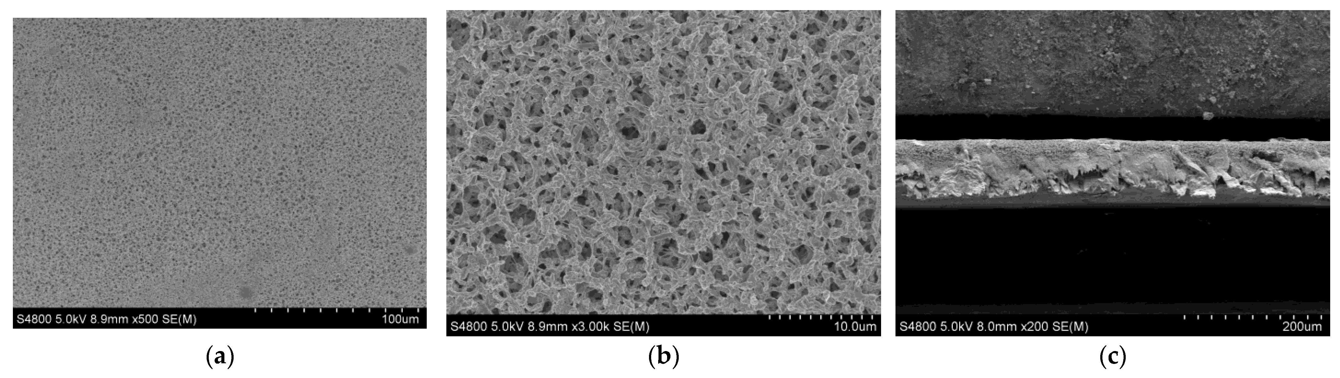 Micromachines 14 01539 g012