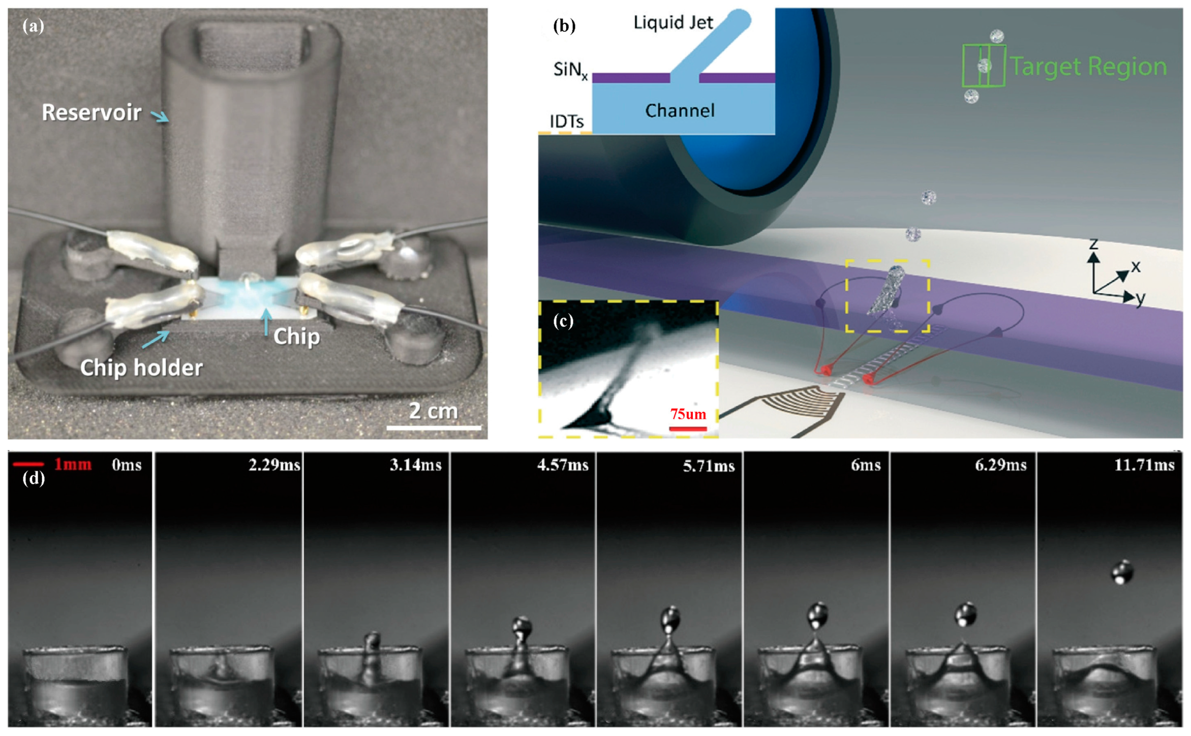Micromachines 14 01543 g013