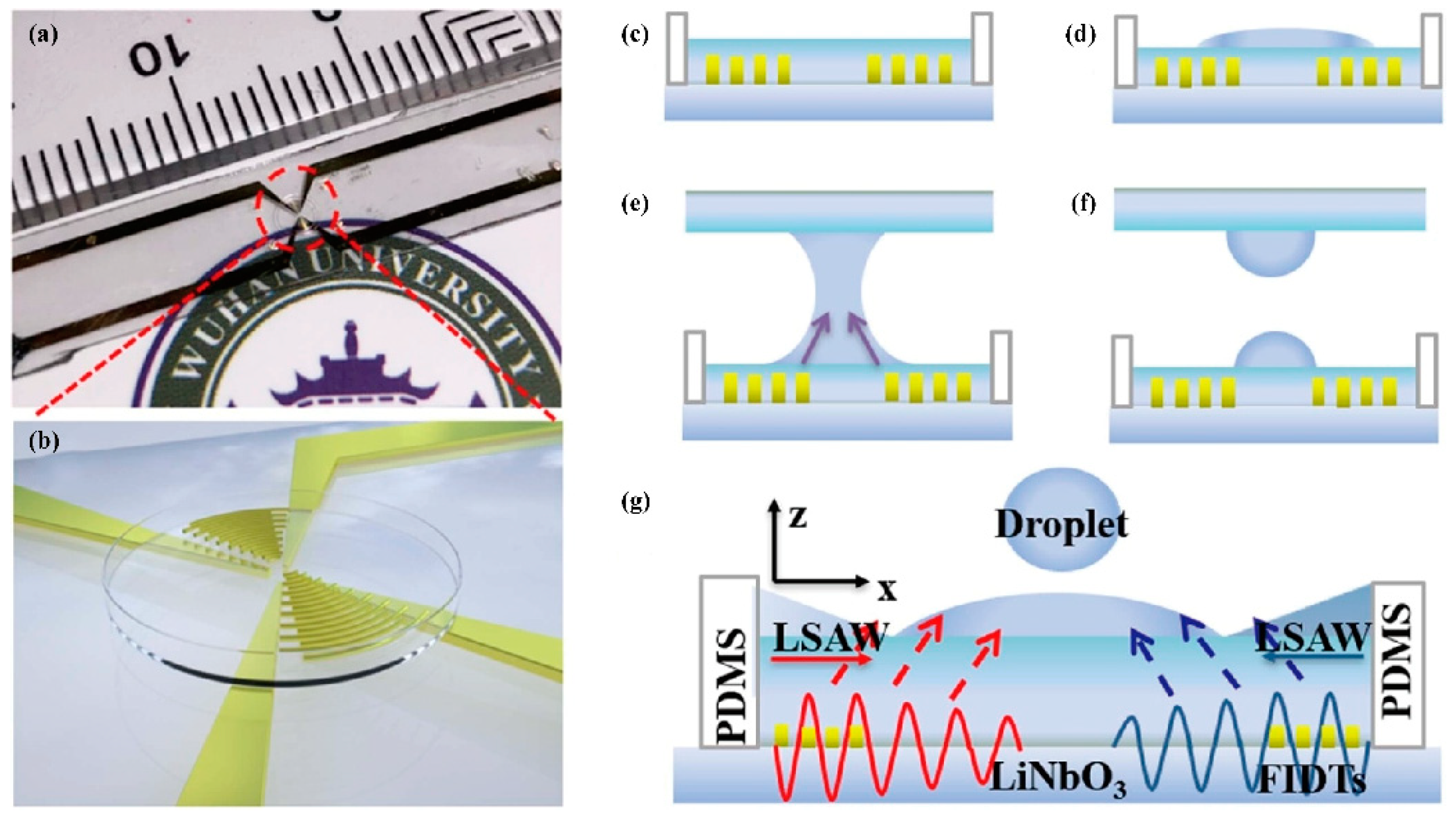 Micromachines 14 01543 g014