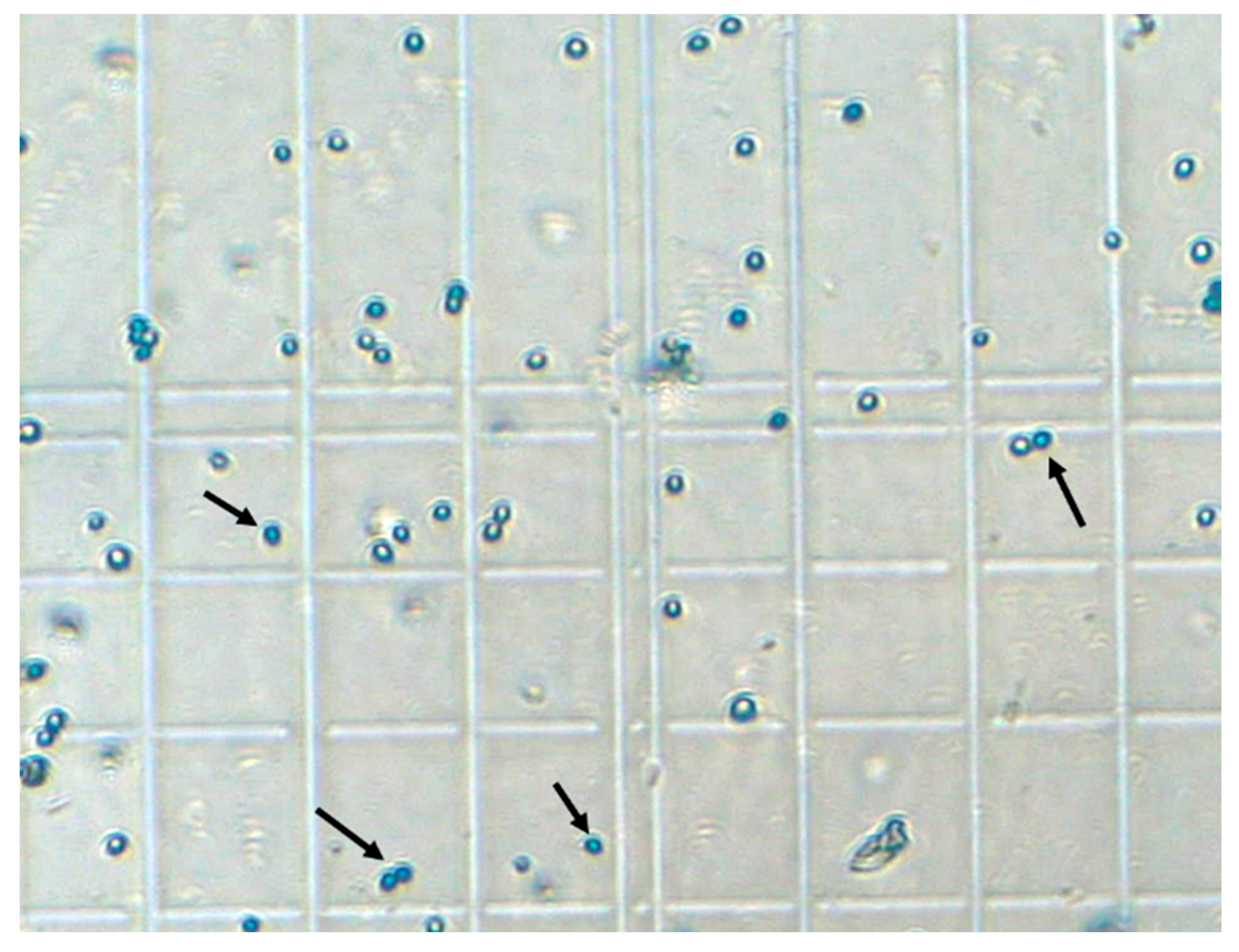 Micromachines 14 01570 g006