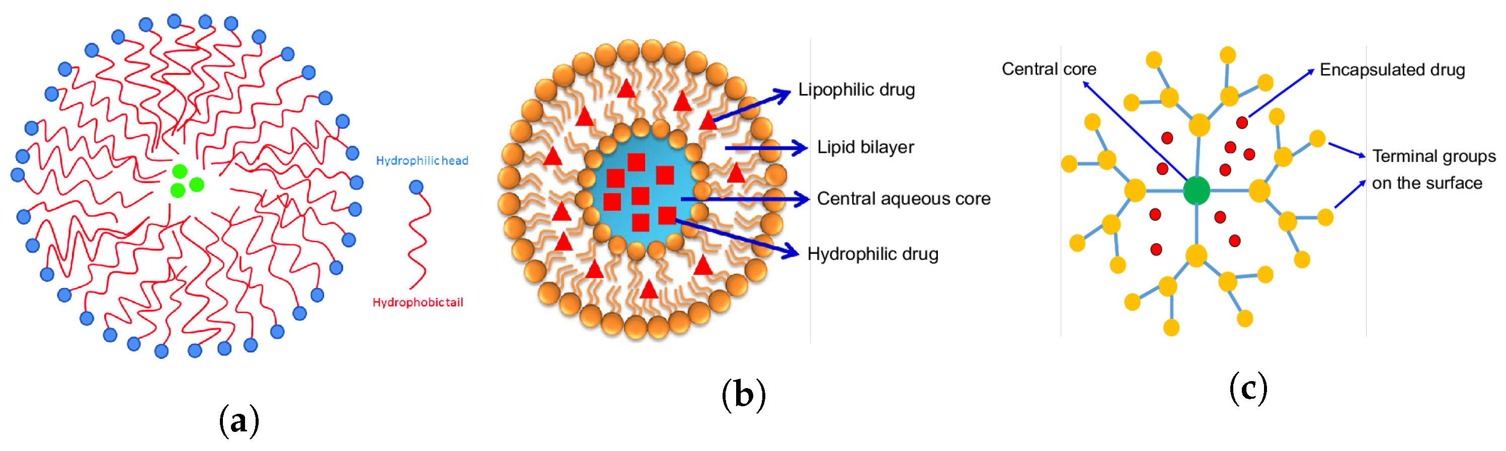 Micromachines | Free Full-Text | Ultrasound-Mediated Ocular Drug ...