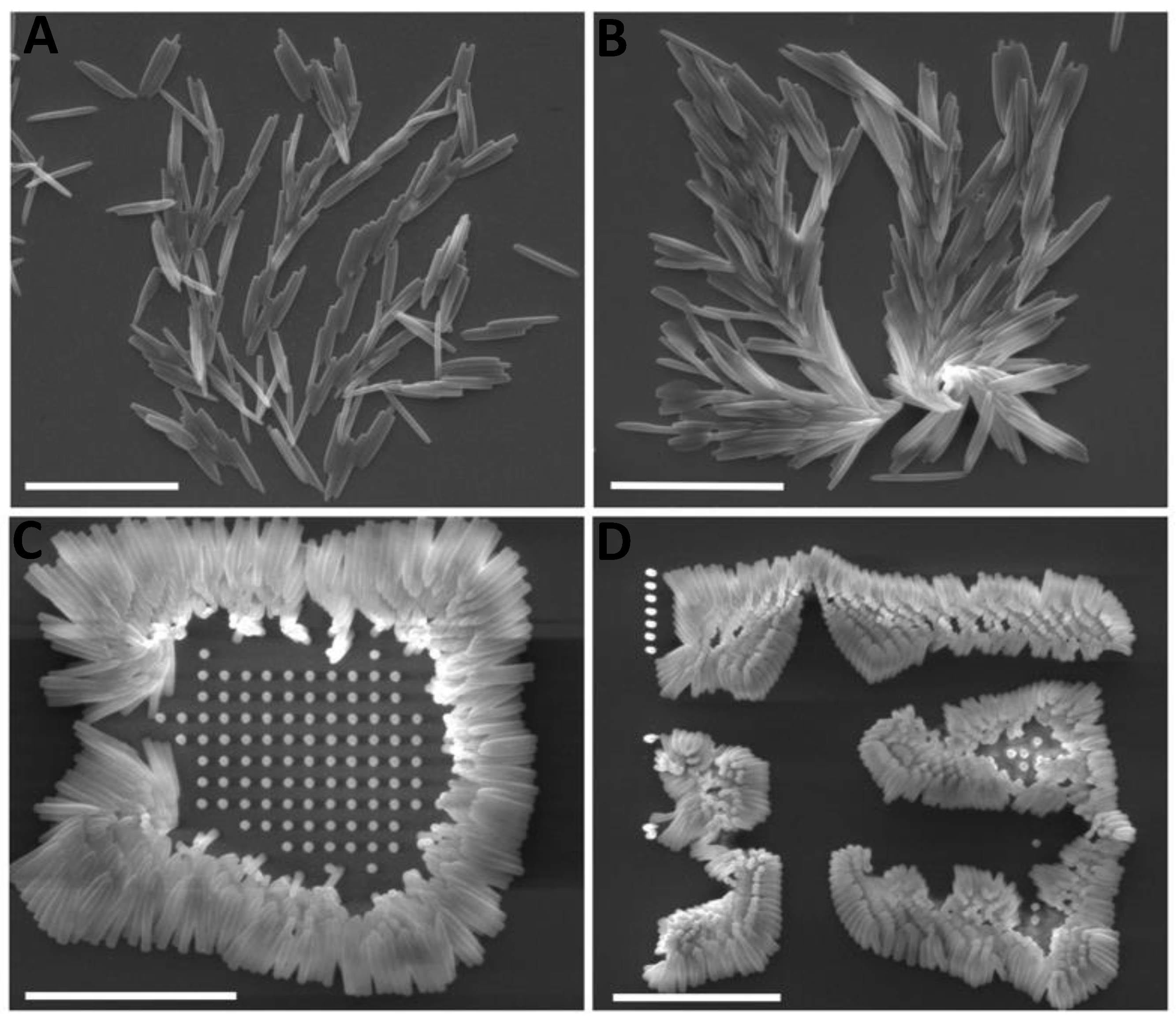 Micromachines 14 01602 g006