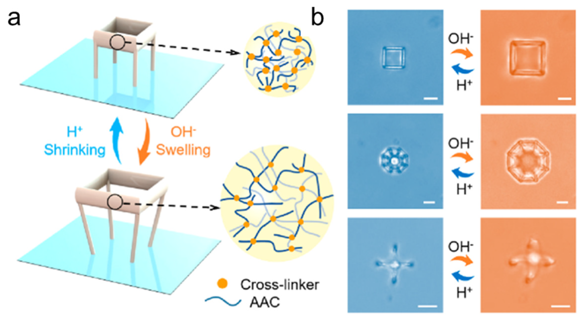 Micromachines 14 01607 g004