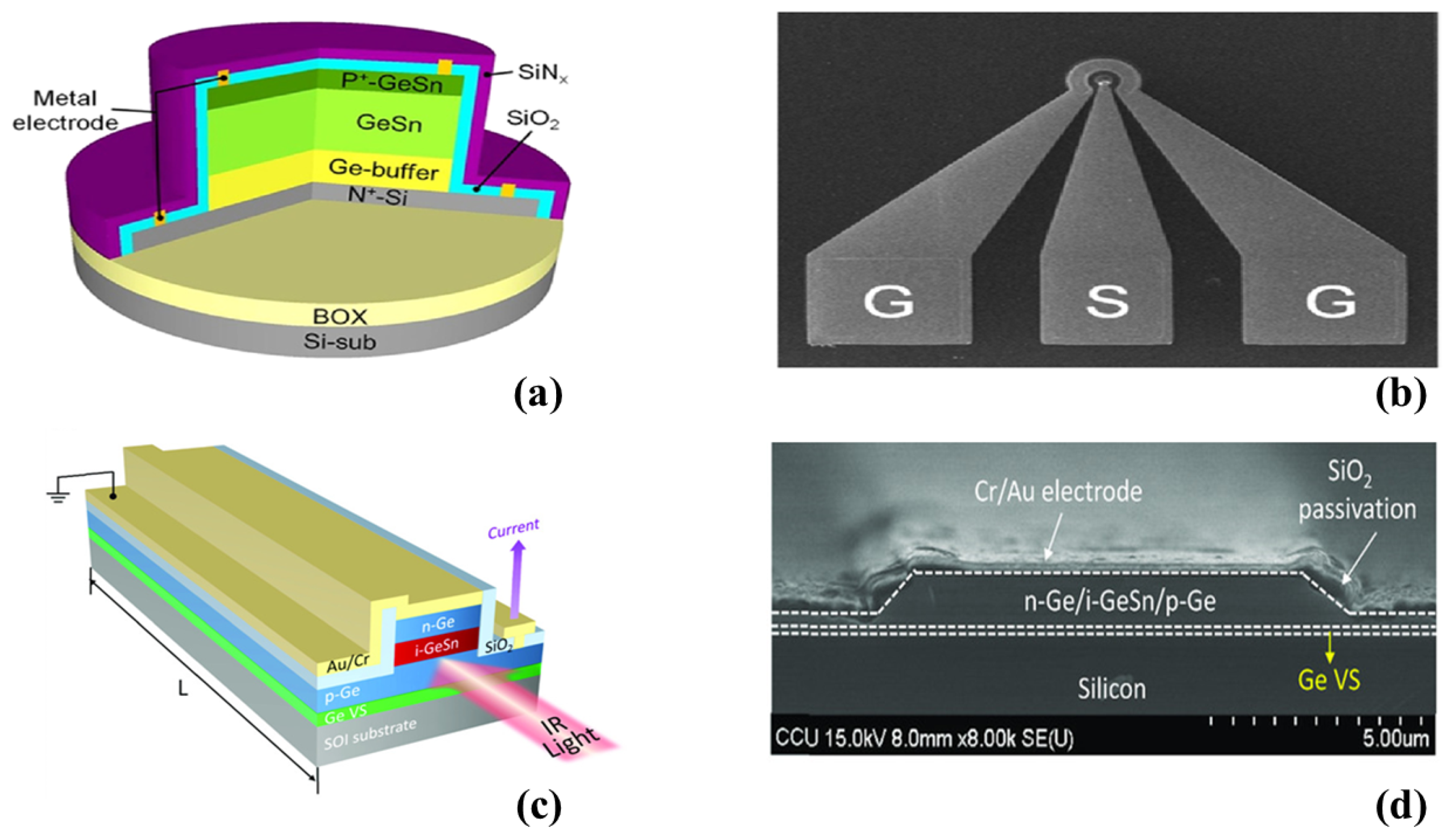 Micromachines 14 01637 g007