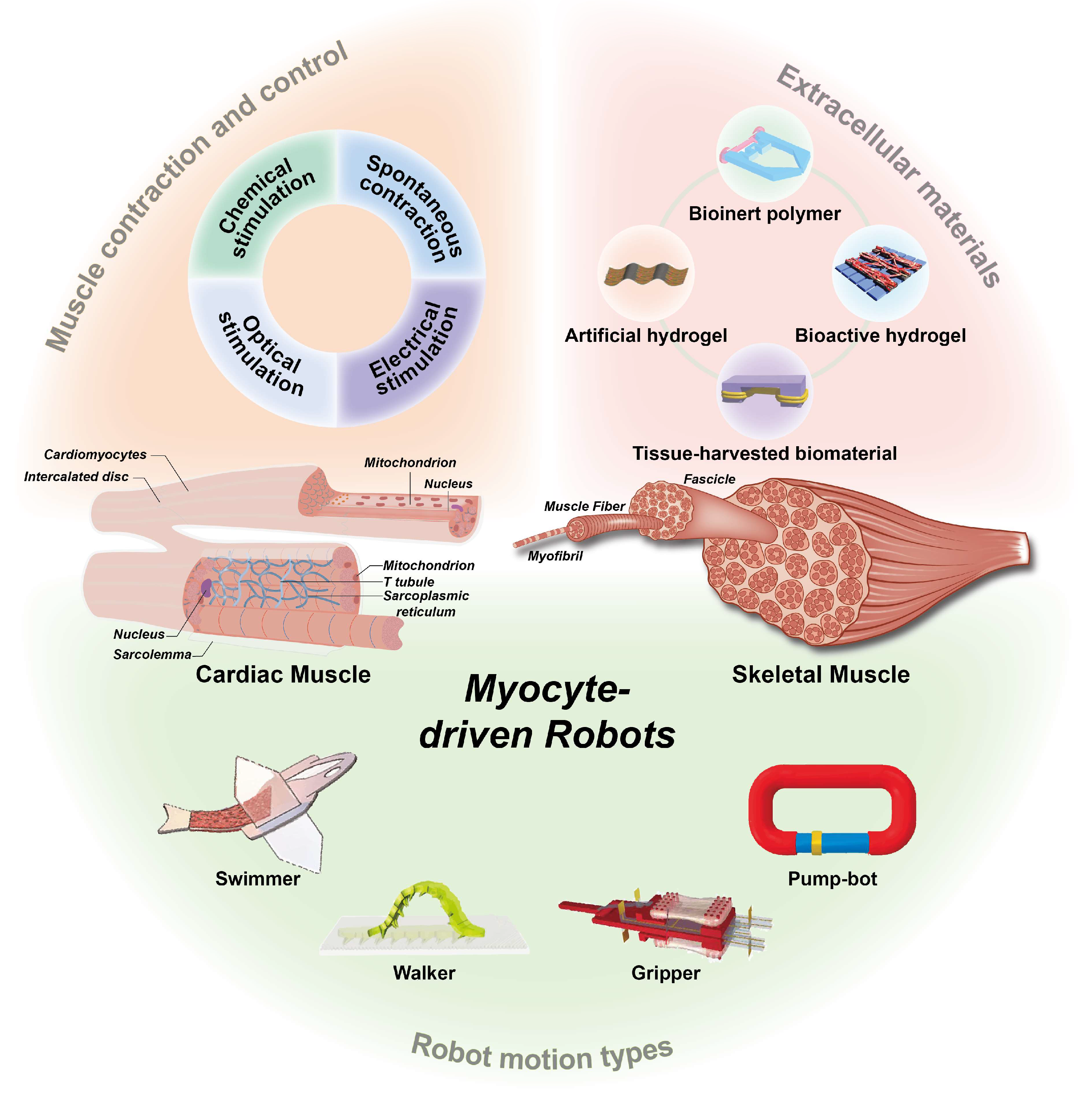 Micromachines 14 01643 g002 Micromachines 14 01643 g002