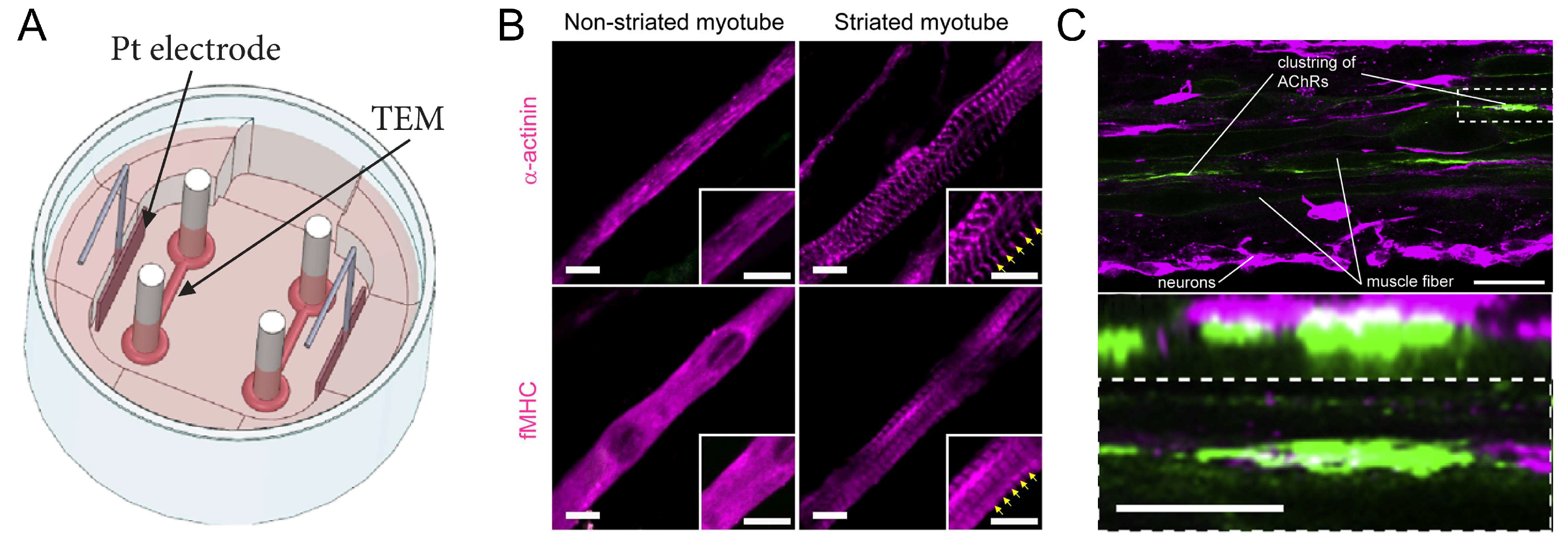 Micromachines 14 01643 g004 Micromachines 14 01643 g004