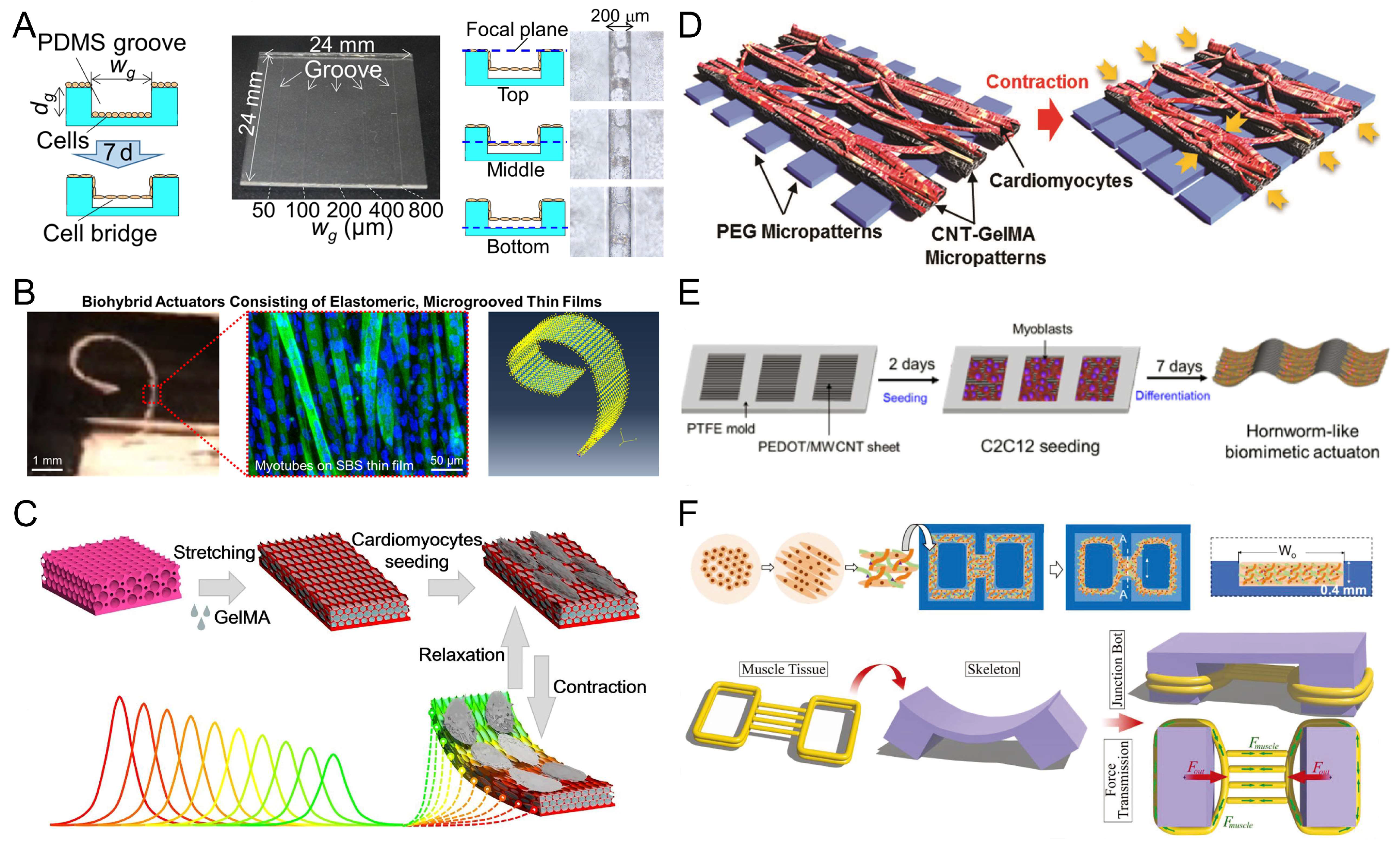 Micromachines 14 01643 g006 Micromachines 14 01643 g006