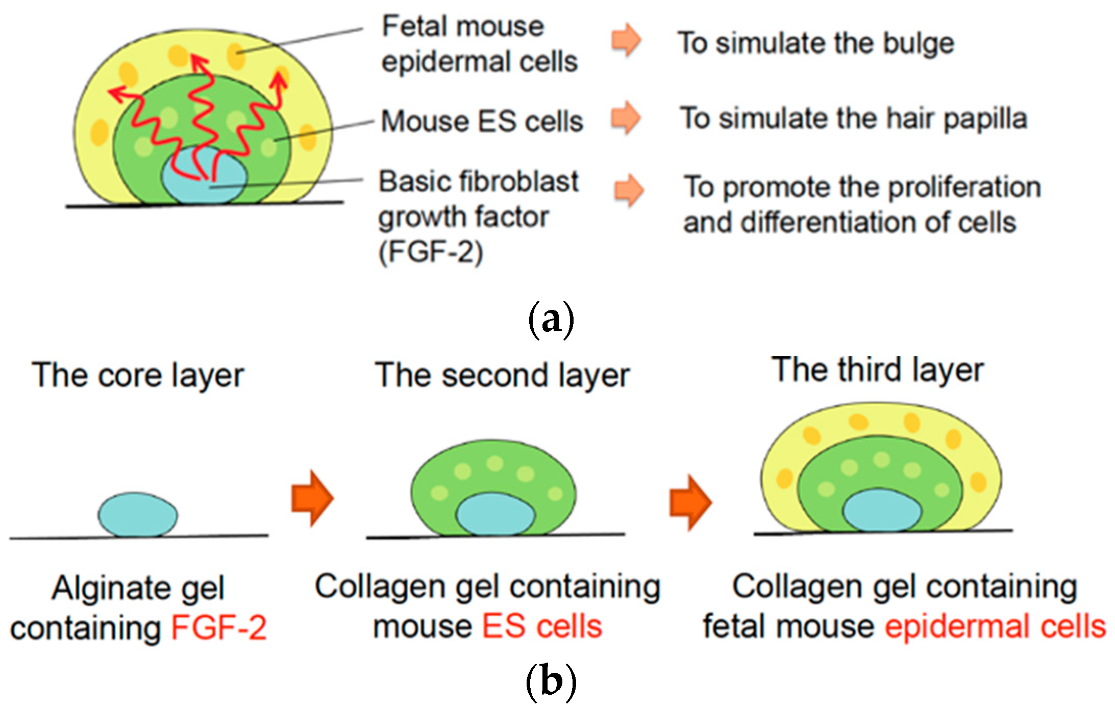 Micromachines 14 01651 g001