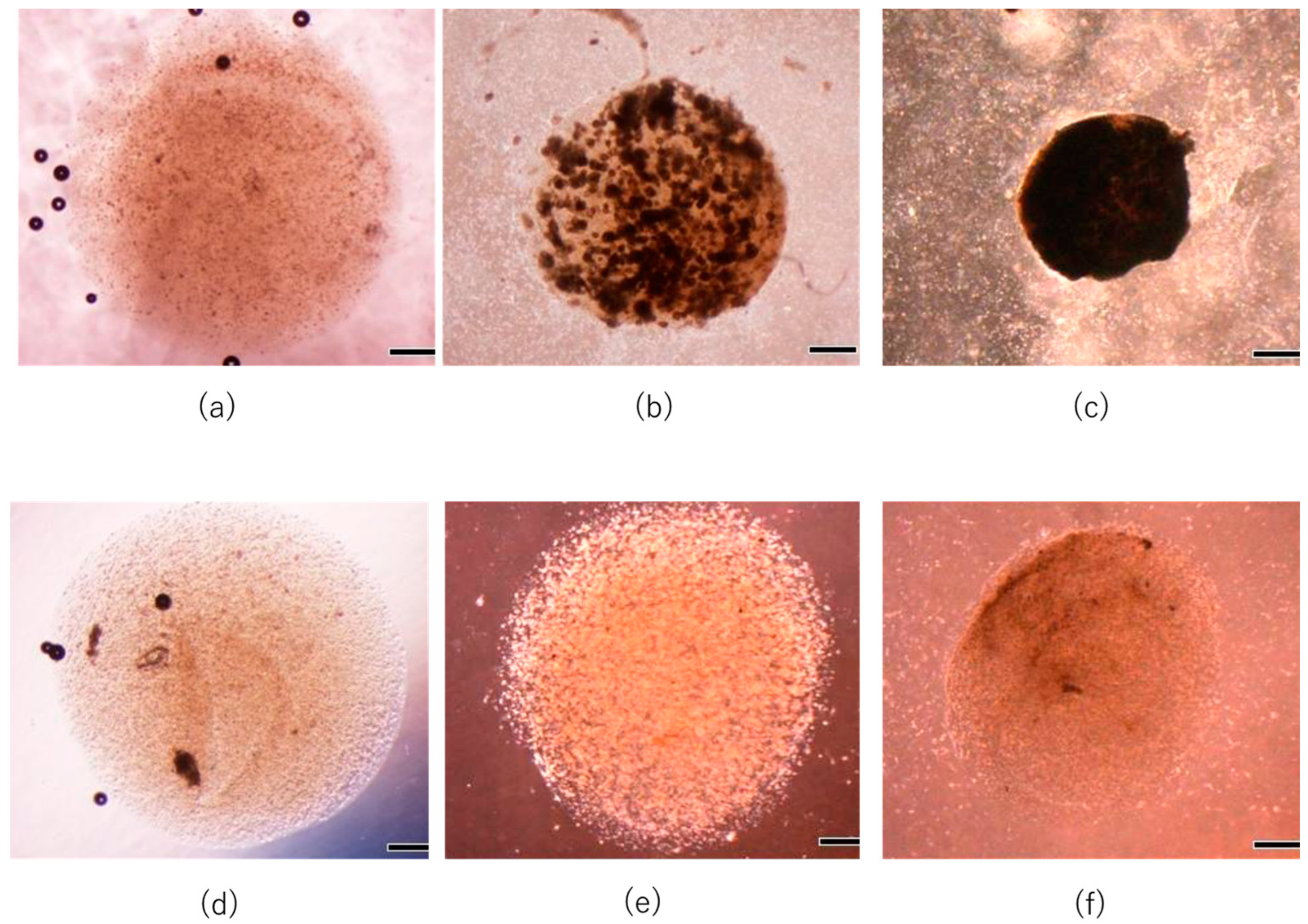 Micromachines 14 01651 g005