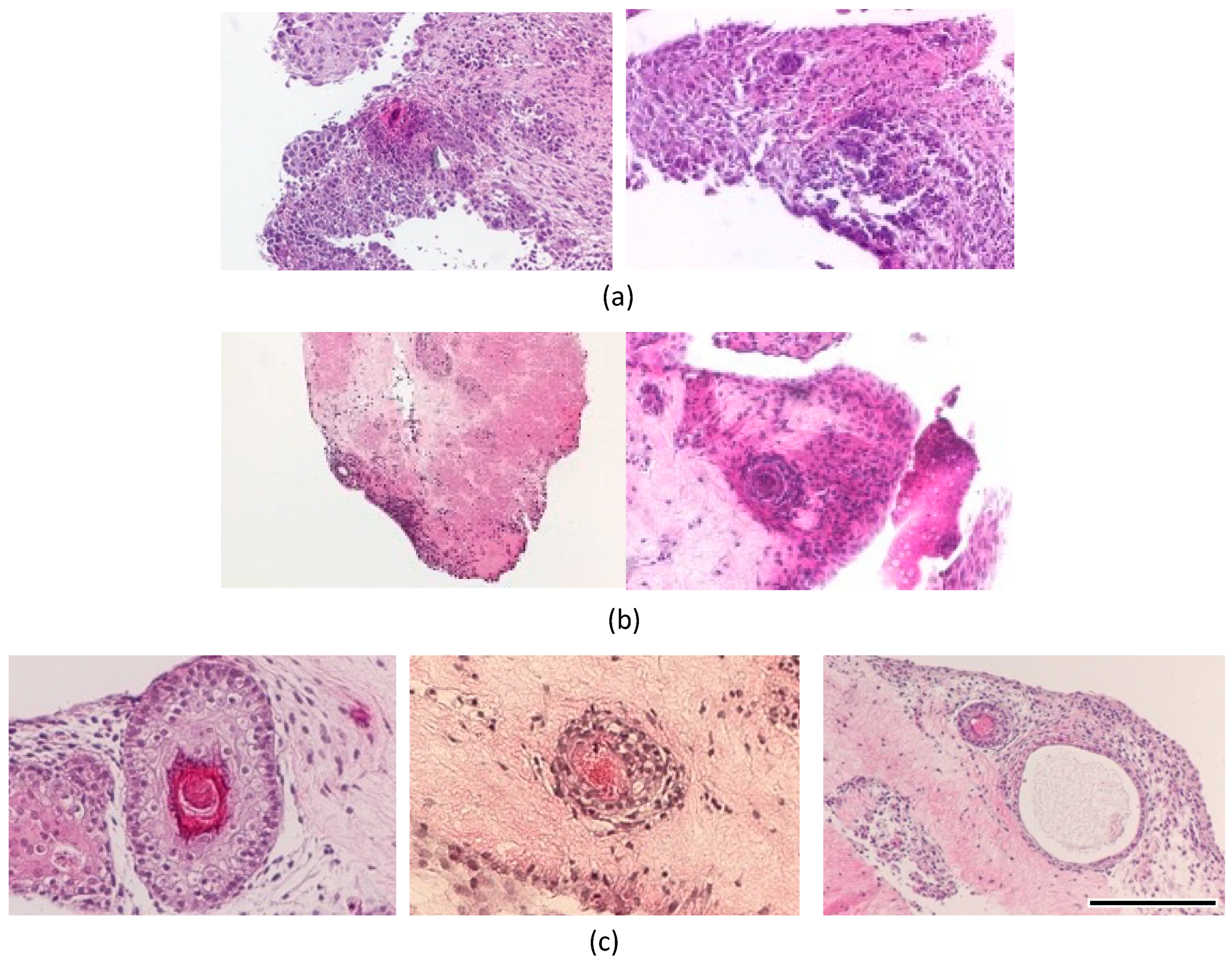 Micromachines 14 01651 g006