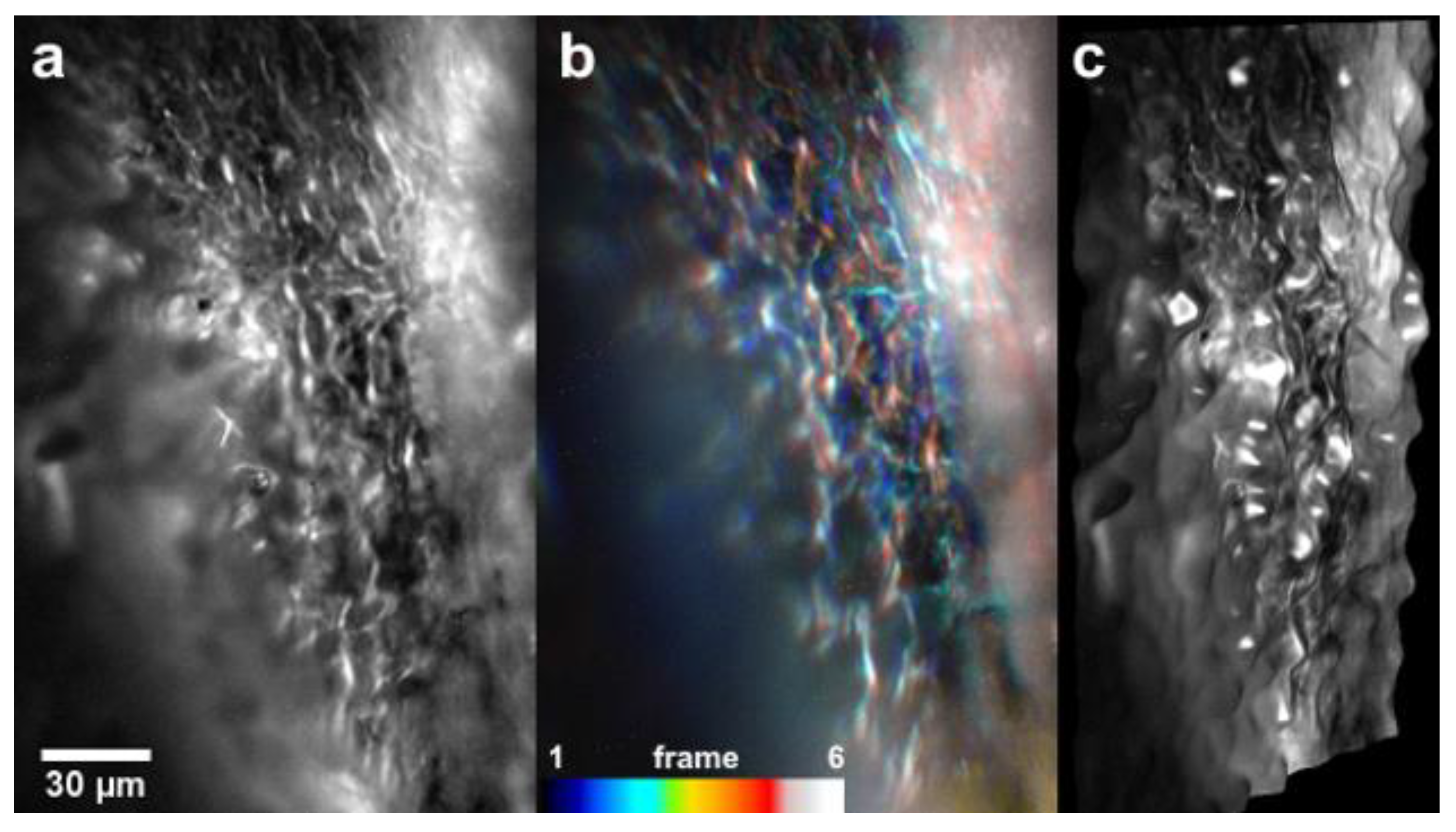 Micromachines 14 01672 g006