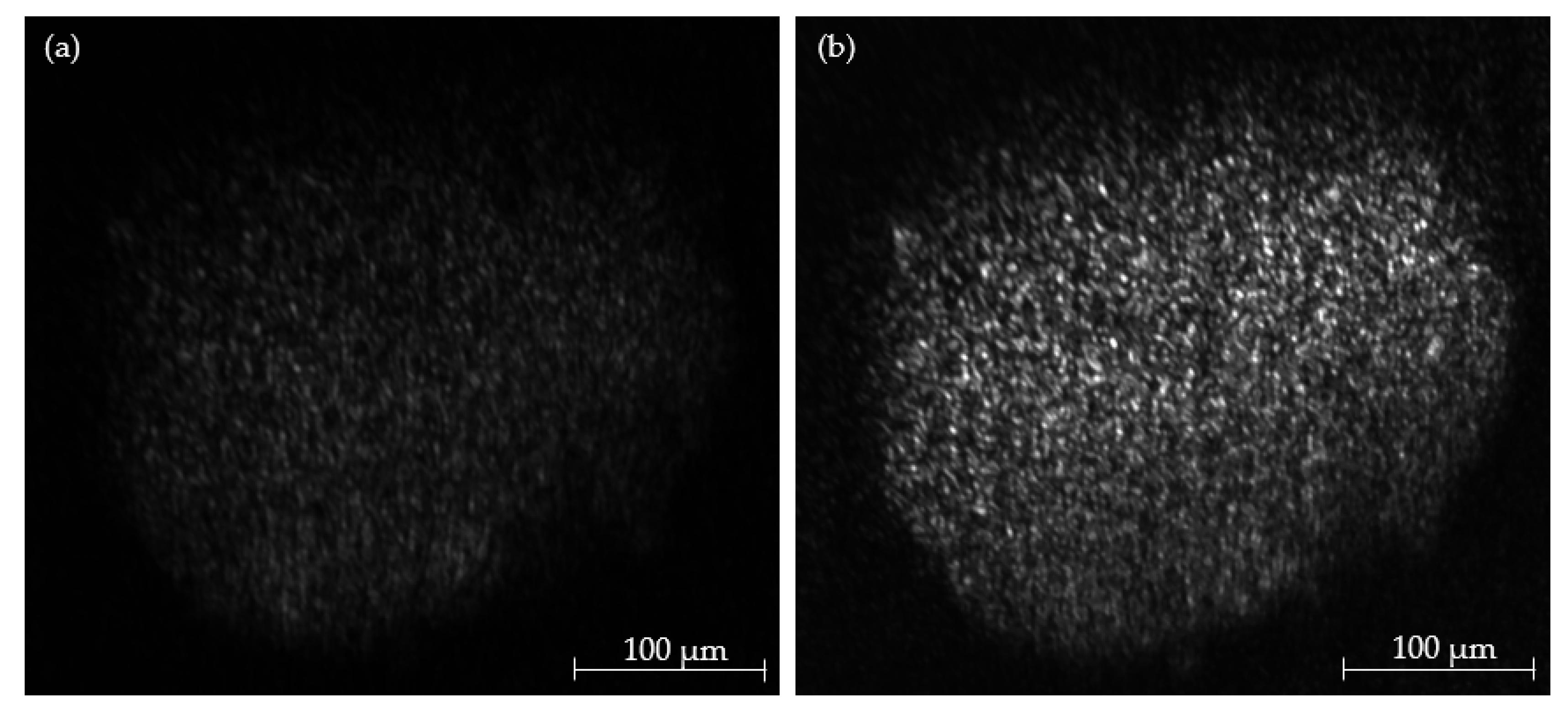 Micromachines 14 01739 g011