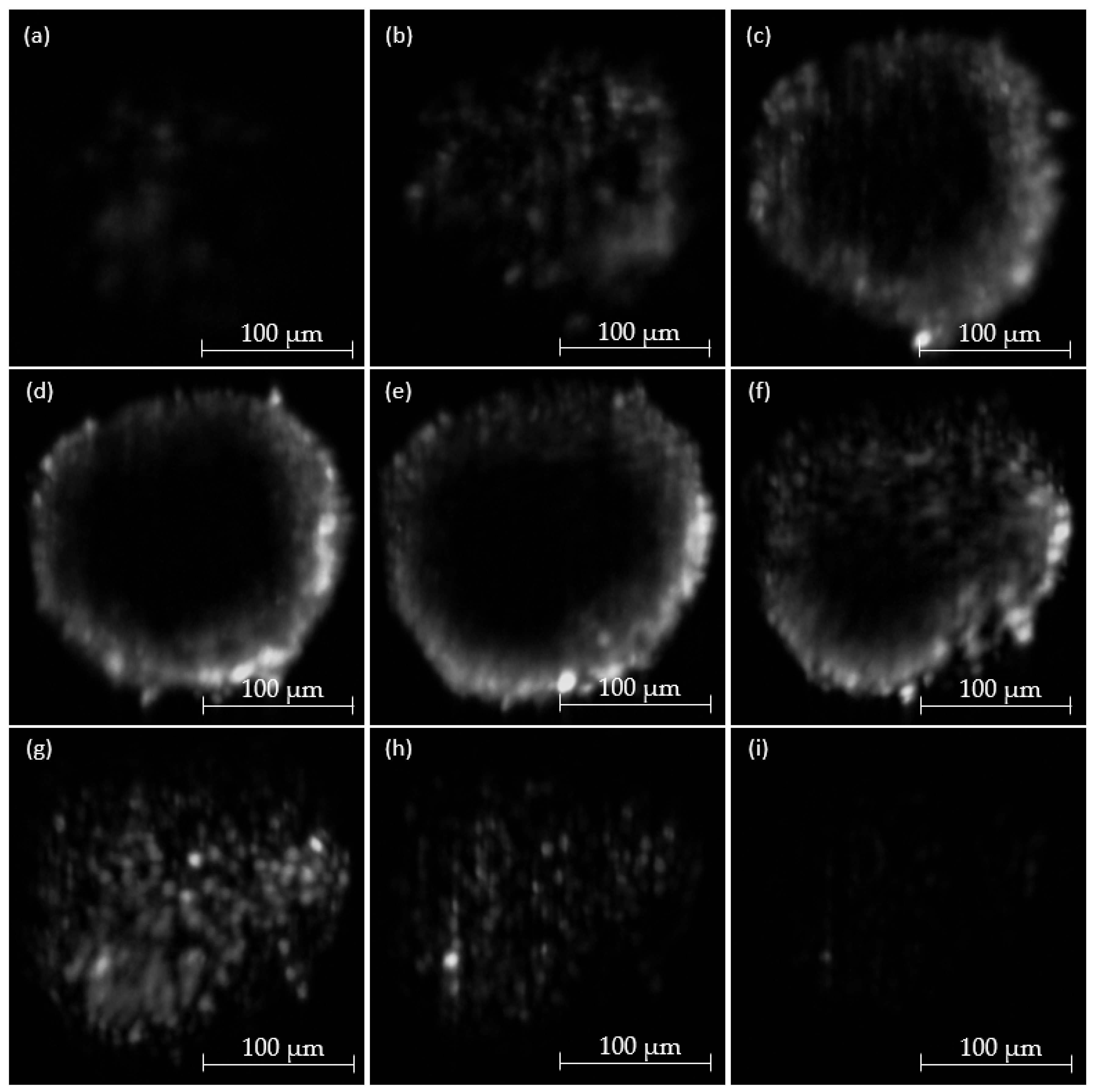 Micromachines 14 01739 g014
