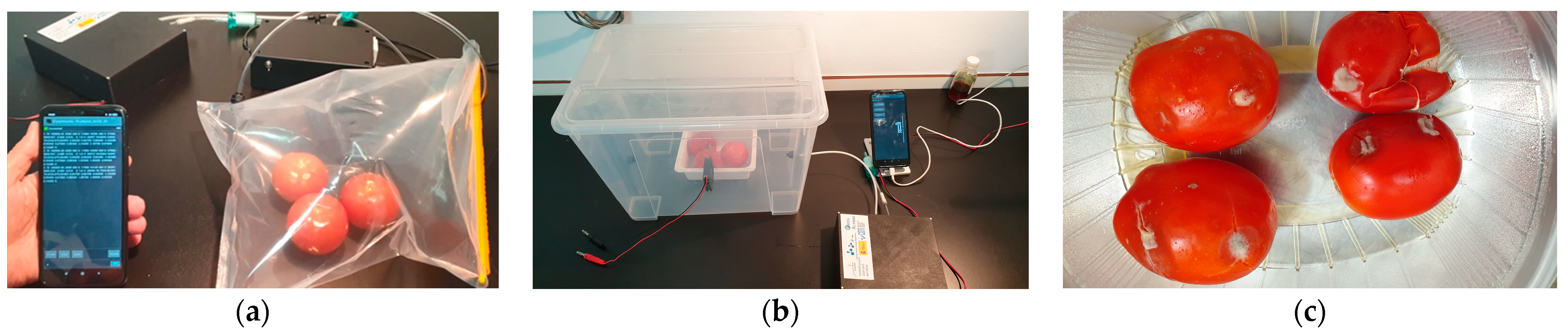 Micromachines 14 01761 g007
