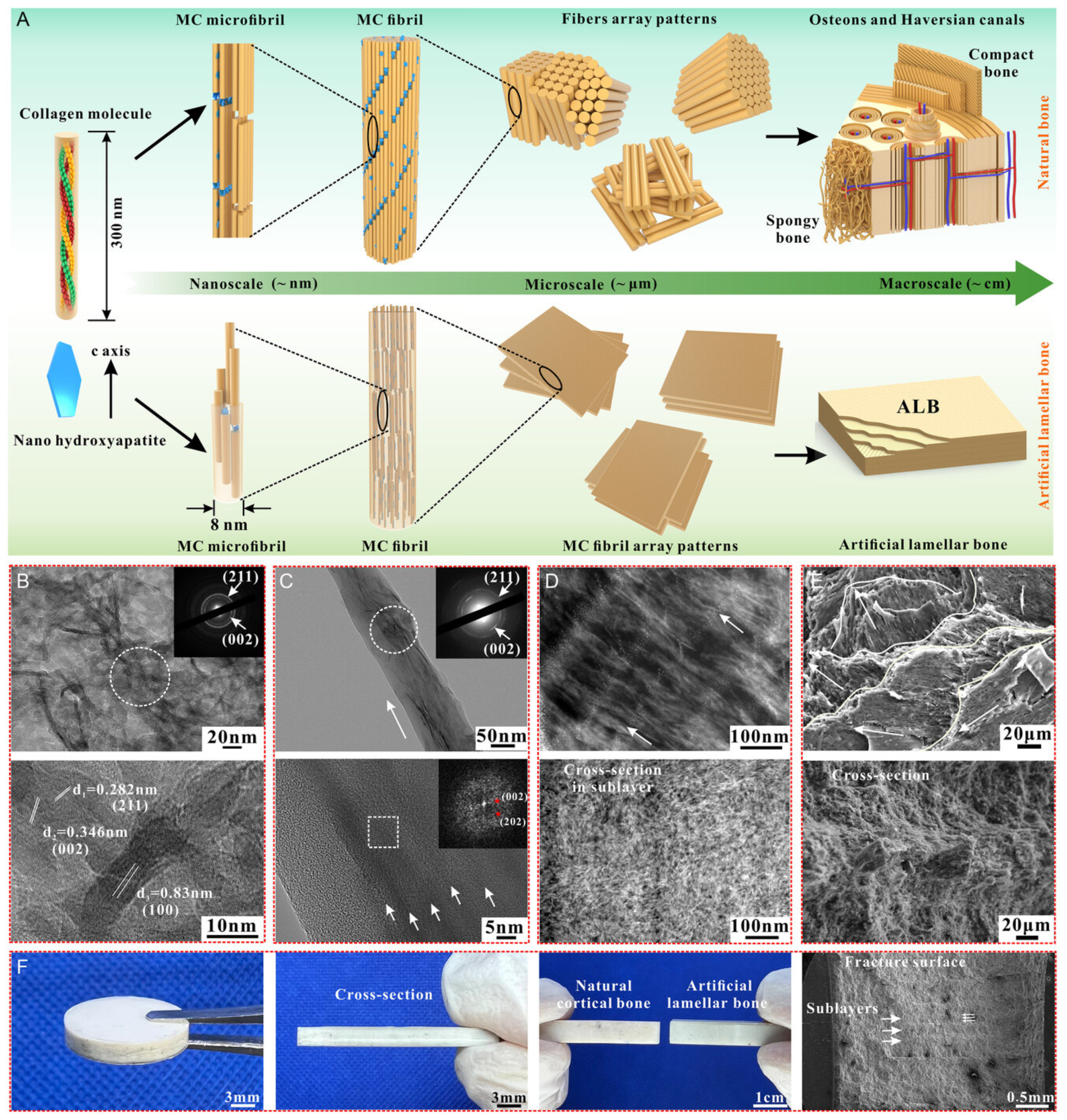 Micromachines 14 01786 g008