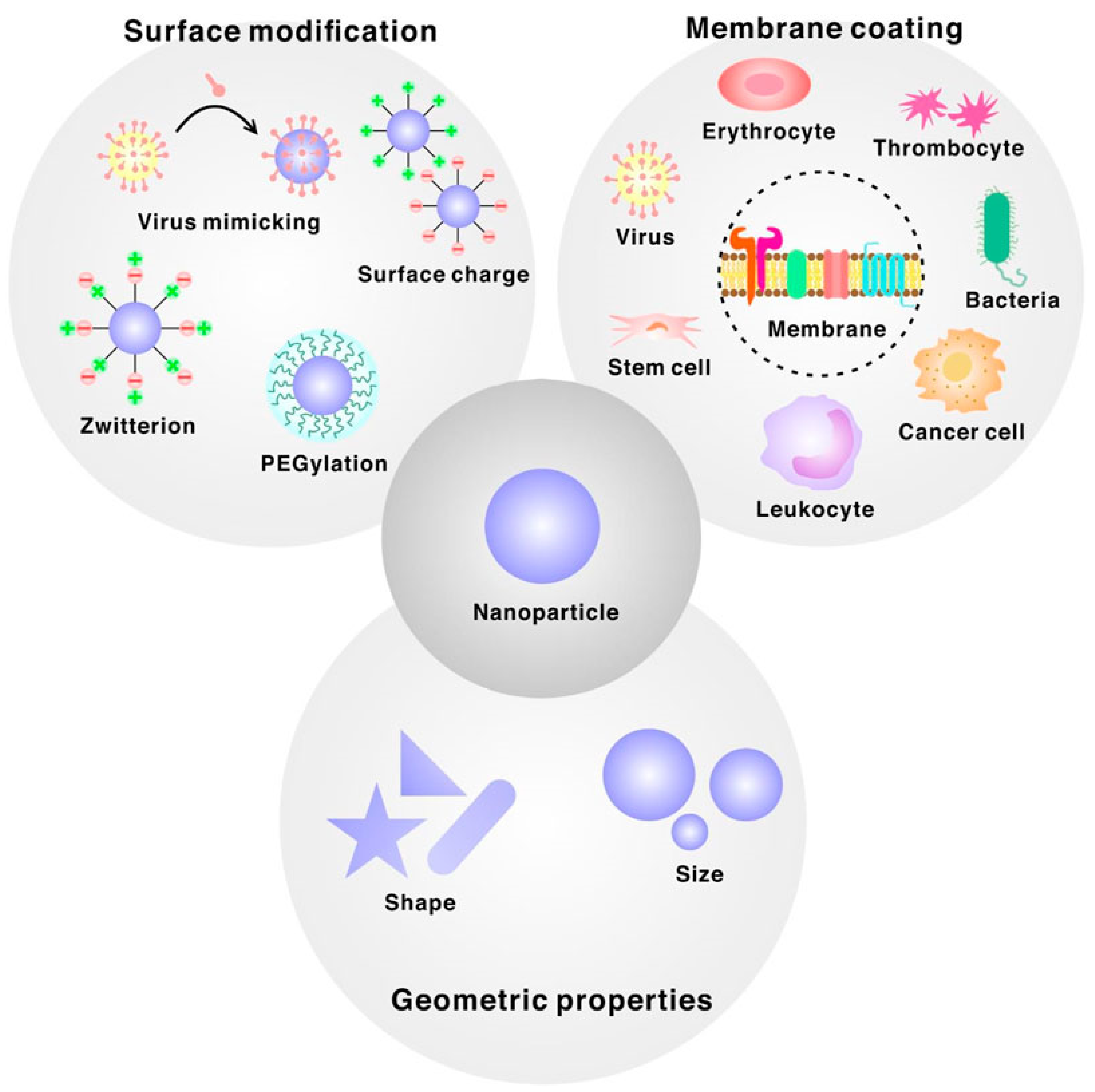 Micromachines 14 01786 g012