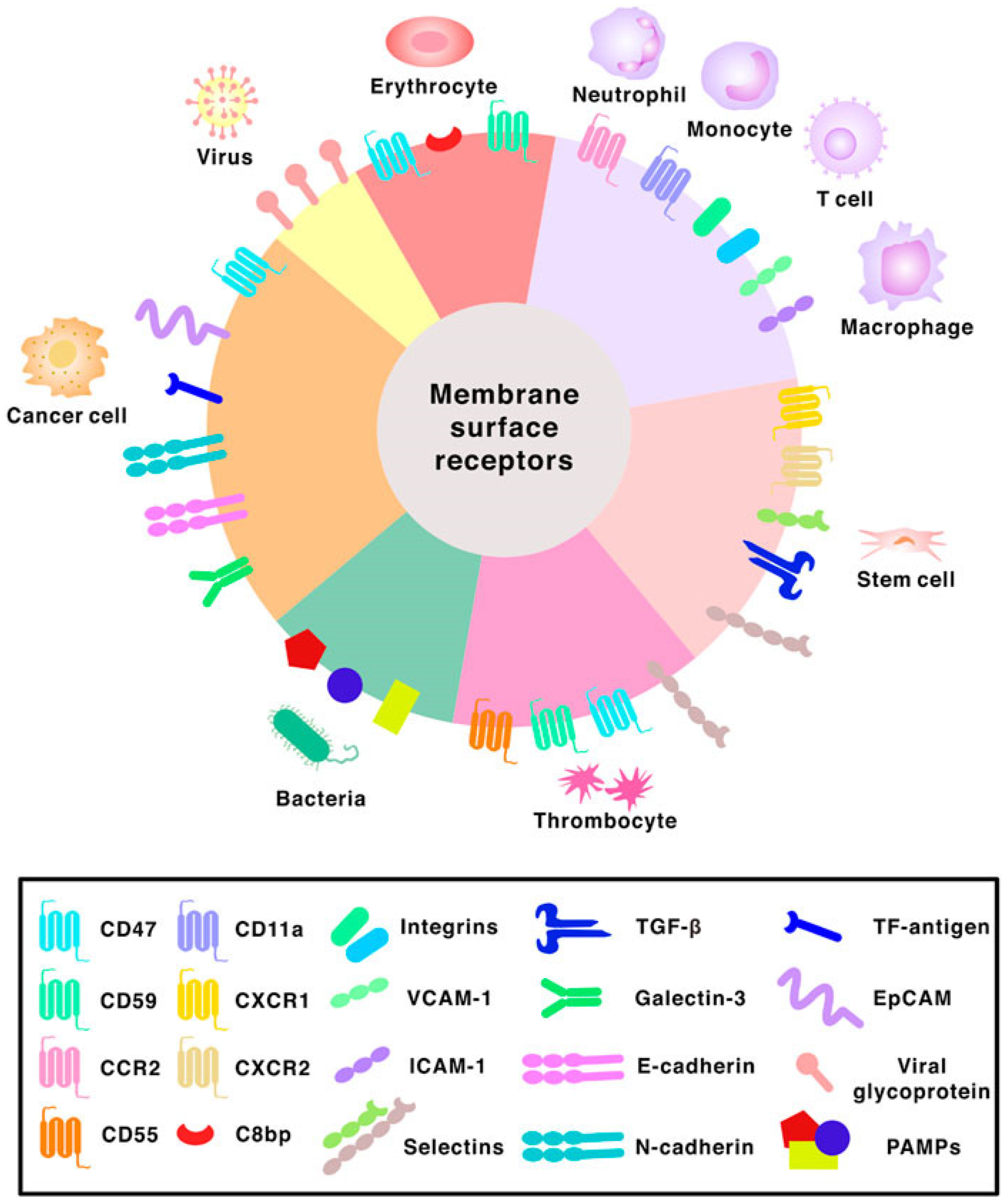 Micromachines 14 01786 g014