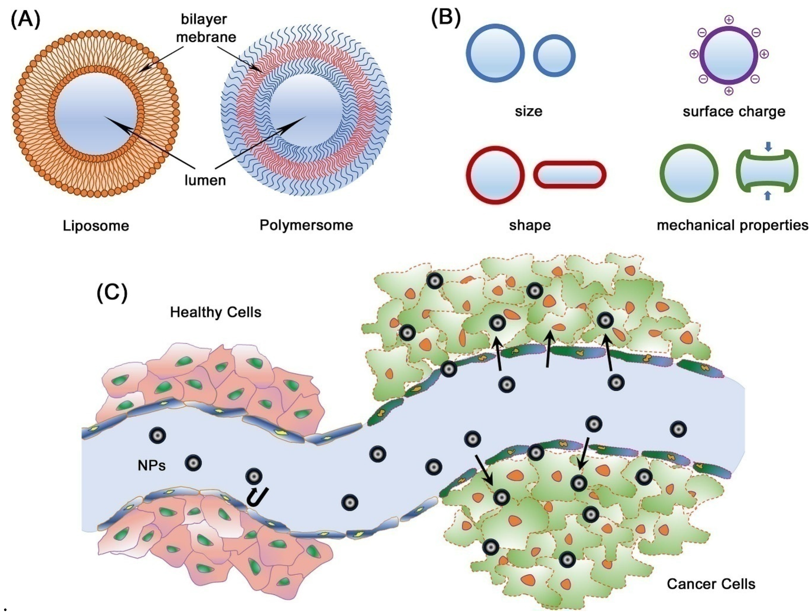 Micromachines 14 01786 g016