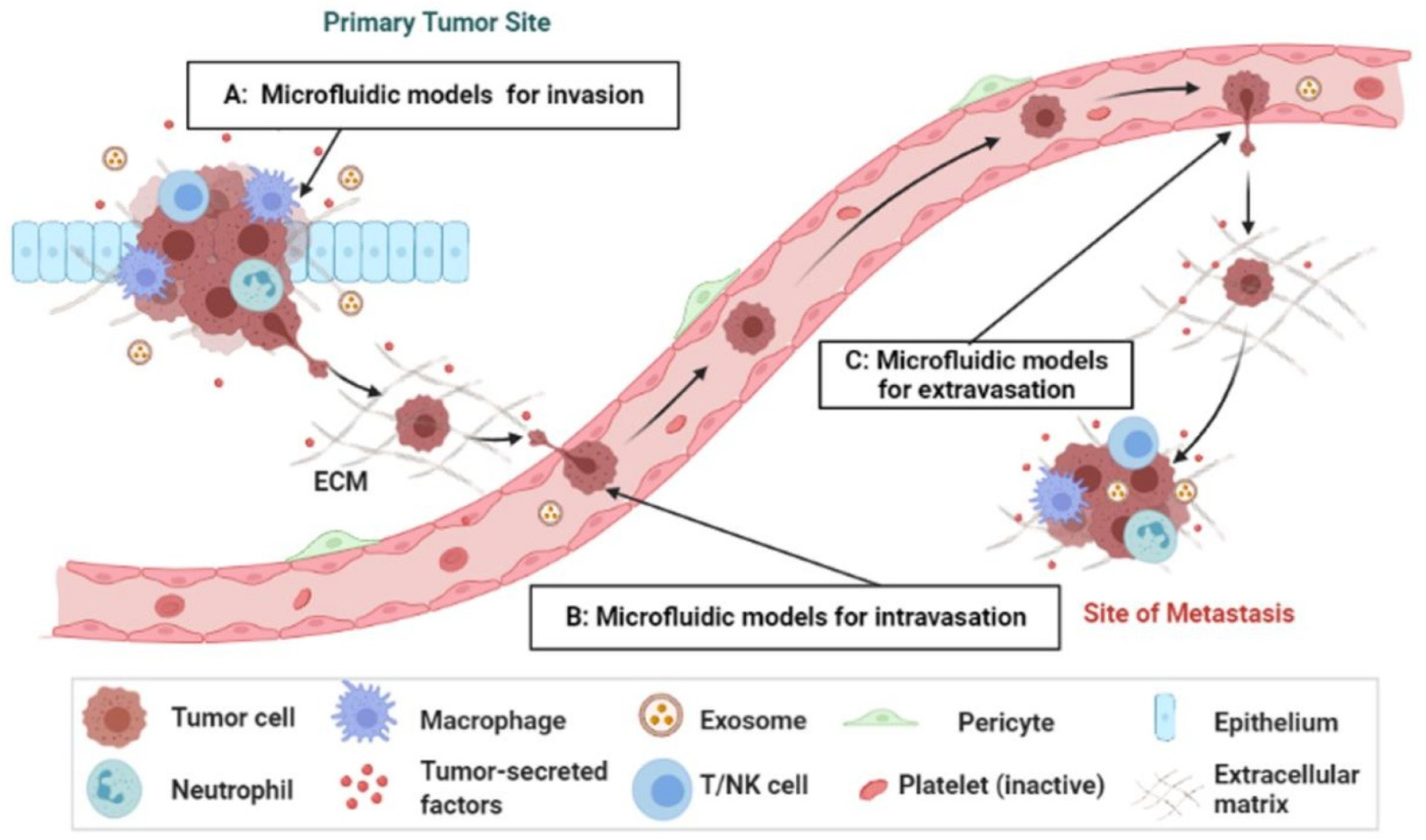 Micromachines 14 01786 g021