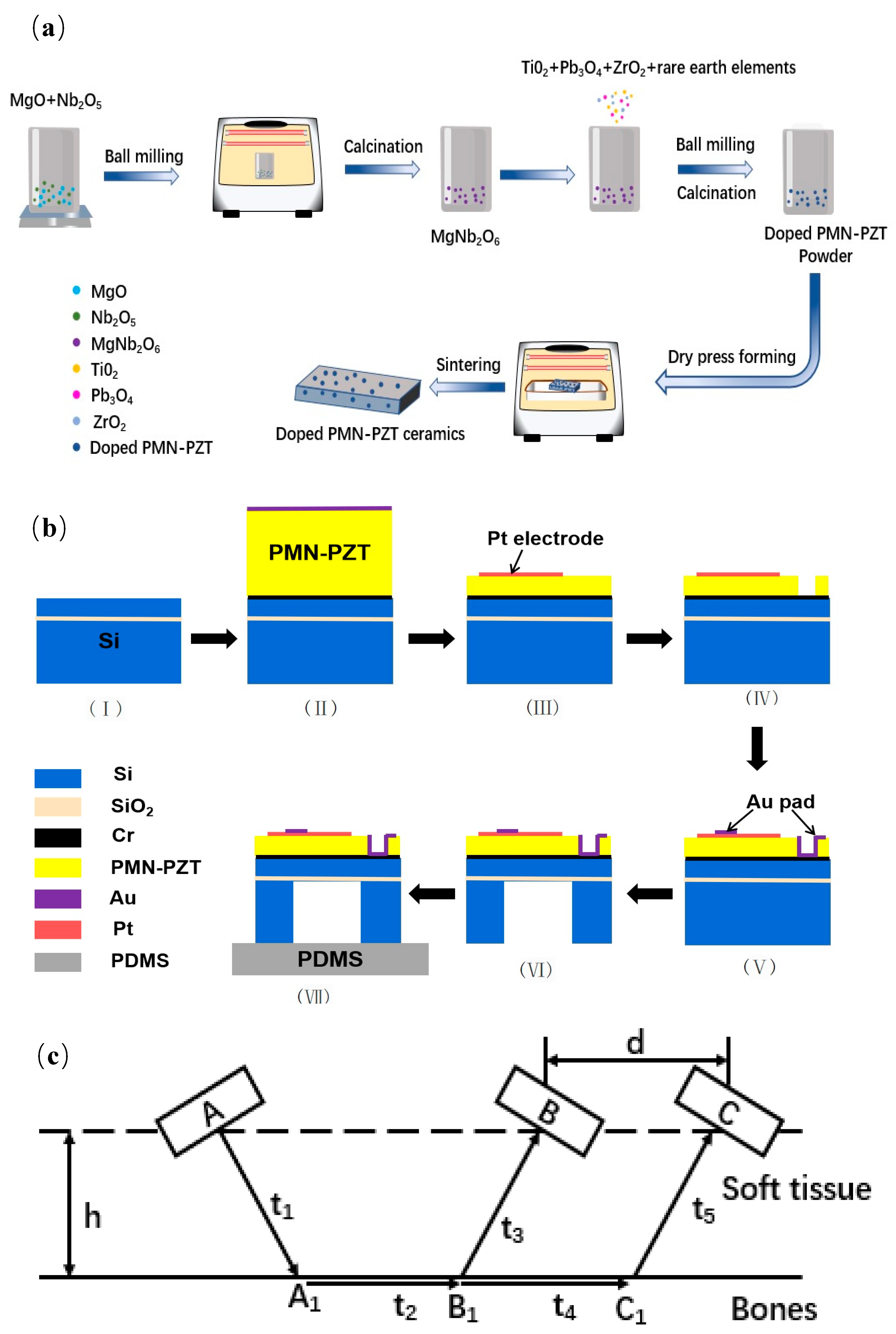 Micromachines | Free Full-Text | A Highly Flexible Piezoelectric Ultrasonic  Sensor for Wearable Bone Density Testing