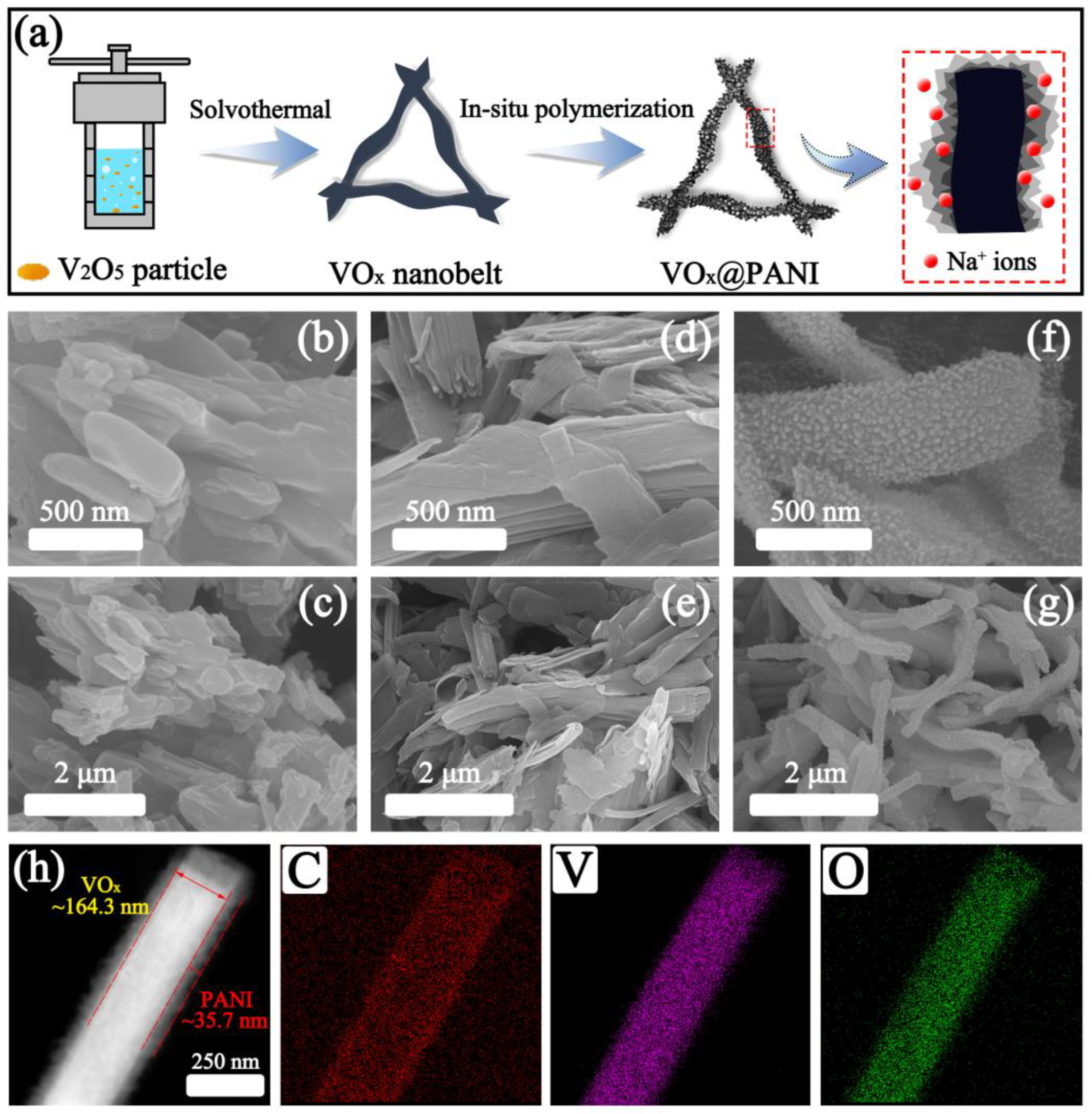 Micromachines | Free Full-Text | PANI-Coated VOx Nanobelts with