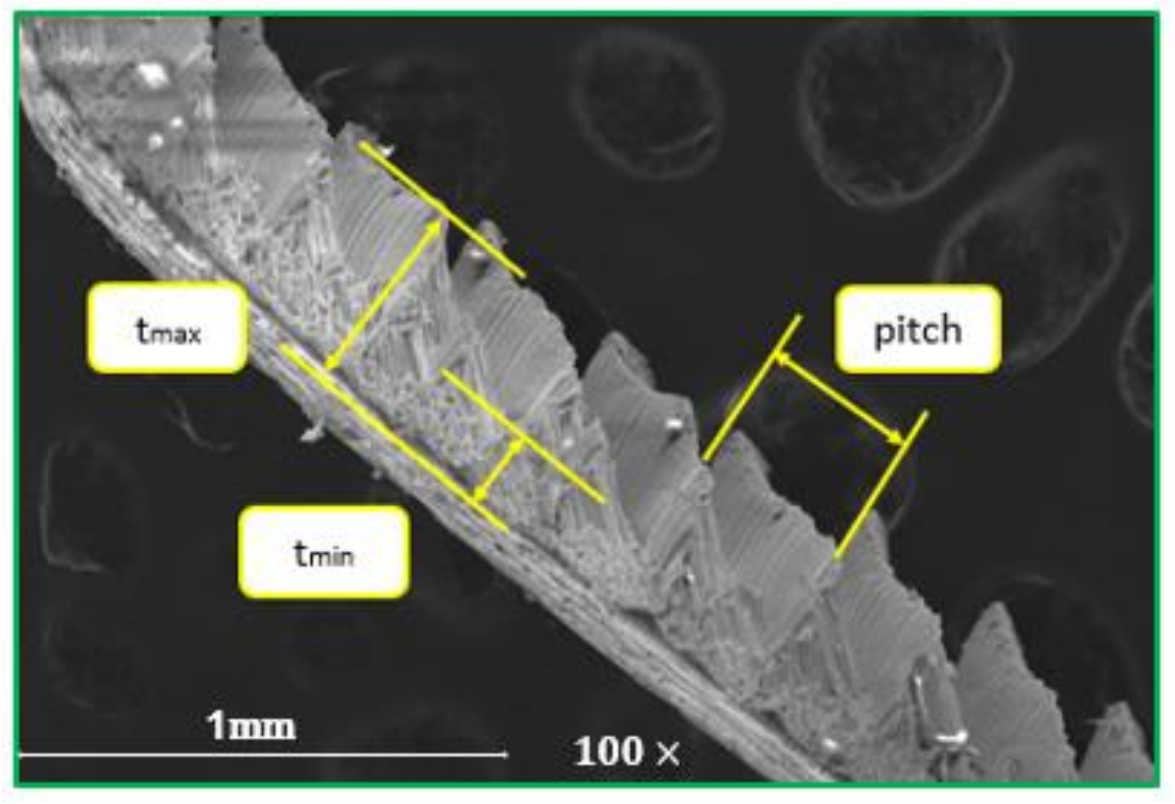 Micromachines 14 01973 g010
