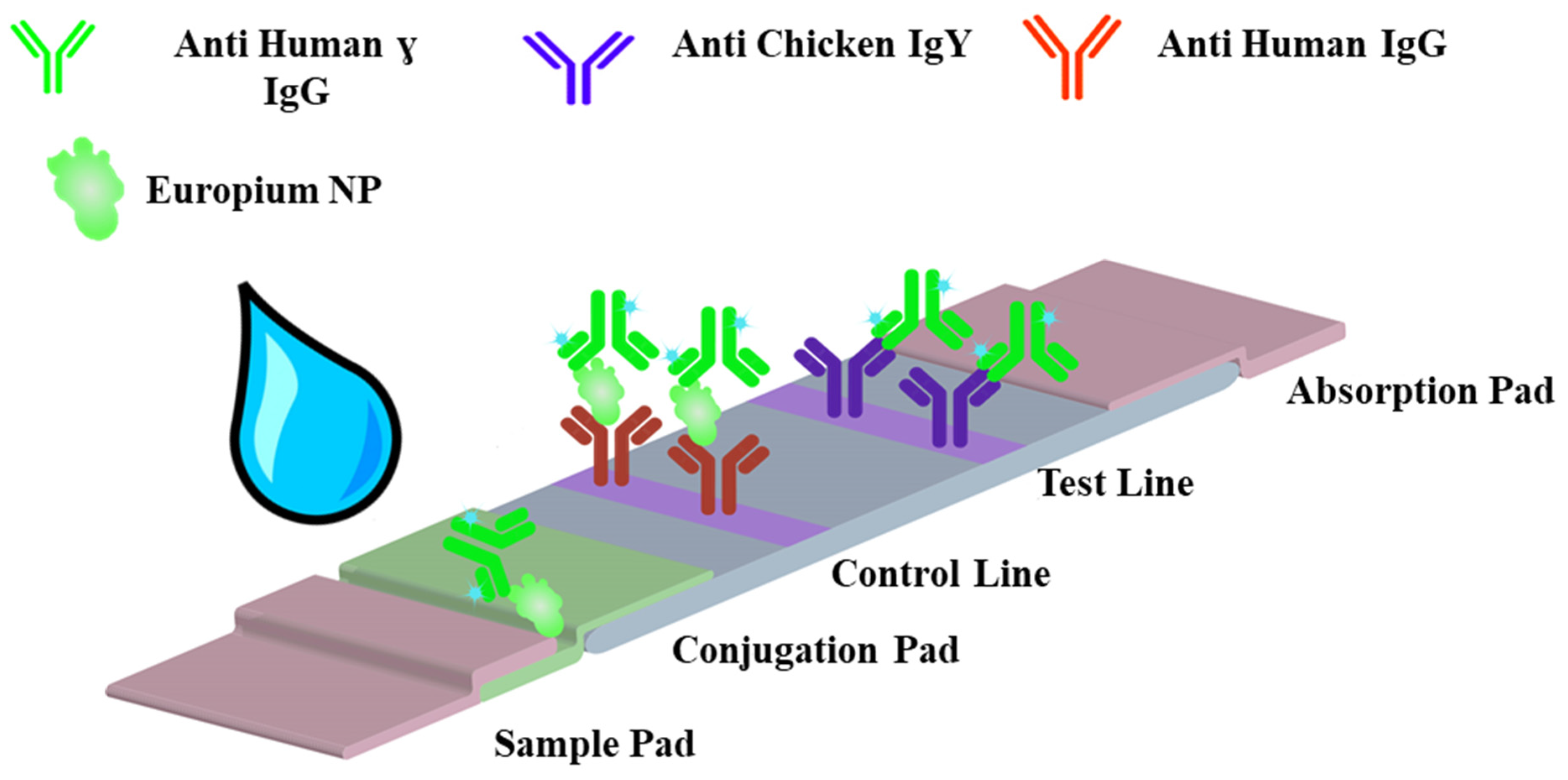 Micromachines 14 01993 g001