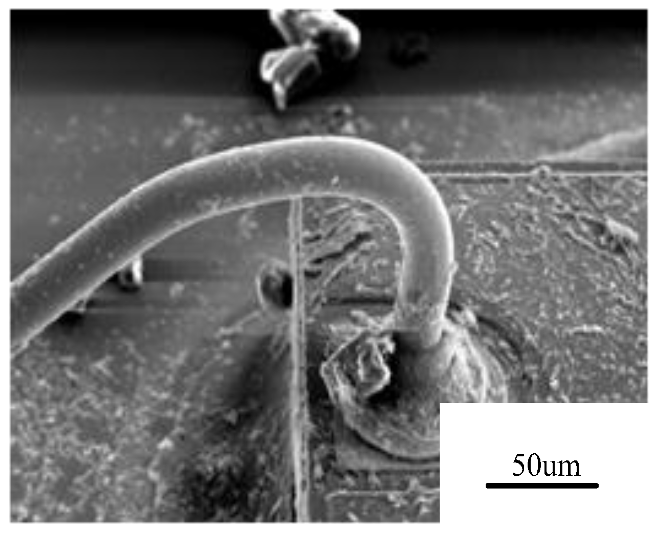 Micromachines 14 02129 g002