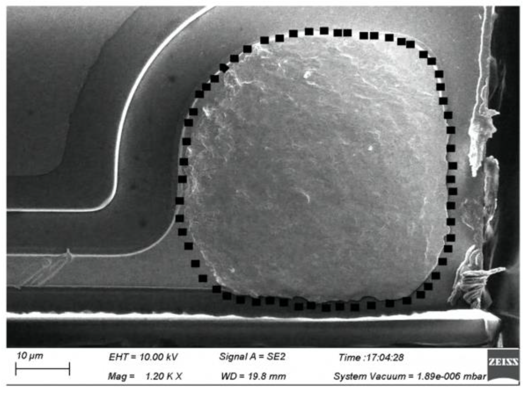 Micromachines 14 02129 g010