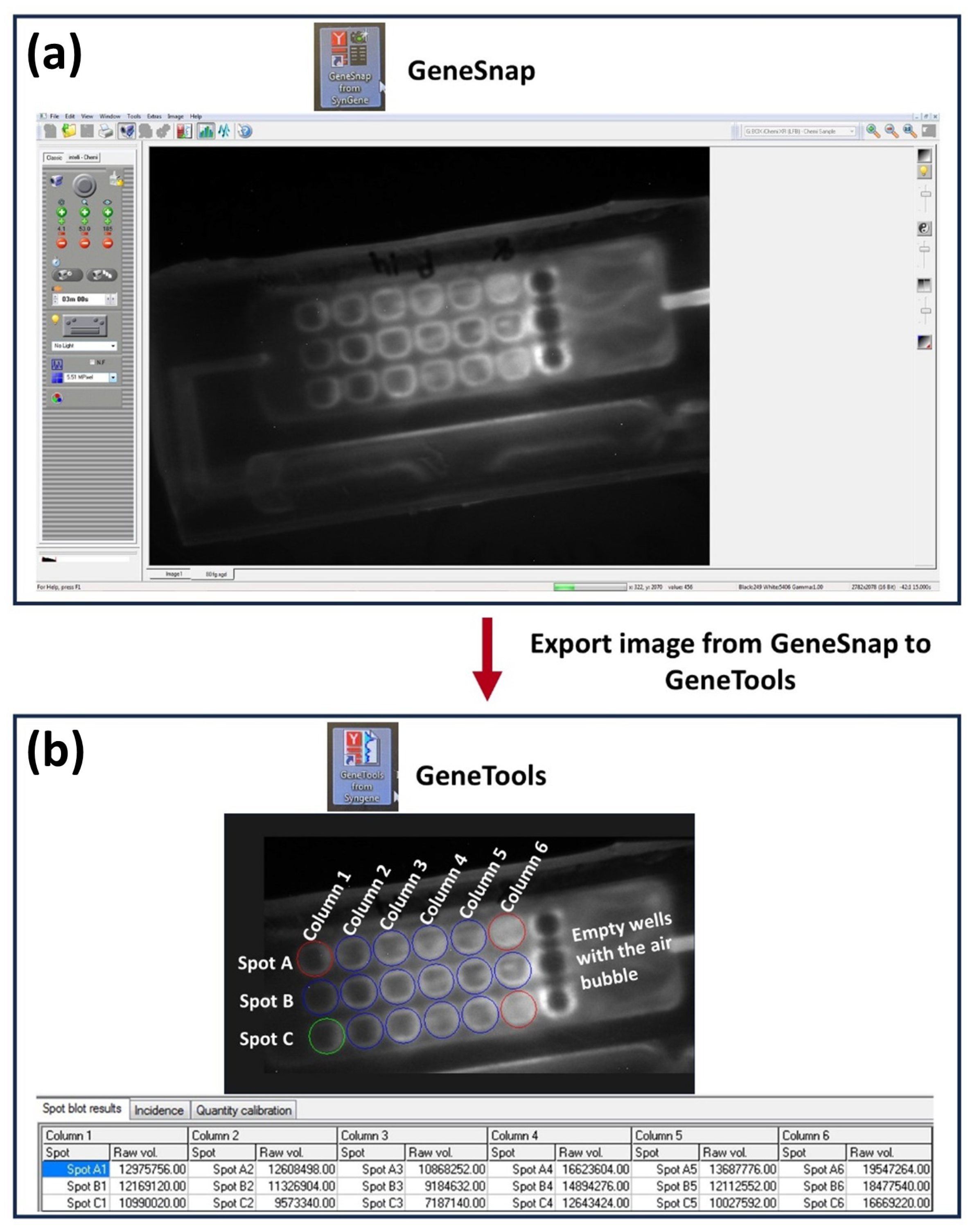 Micromachines 14 02187 g0a1