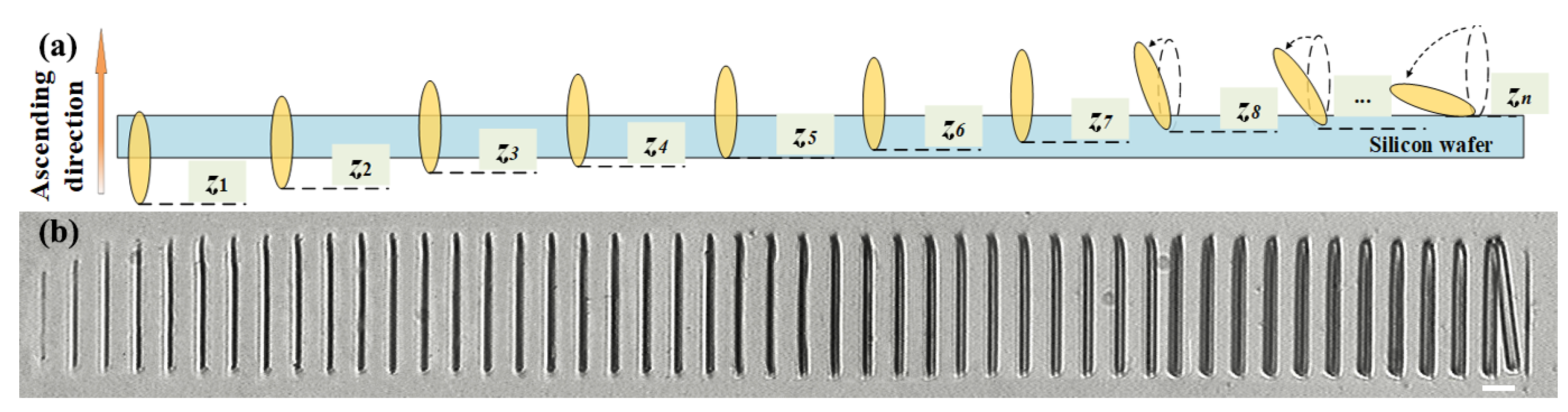 Micromachines 14 02256 g002 Micromachines 14 02256 g002