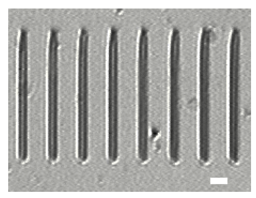 Micromachines 14 02256 g004 Micromachines 14 02256 g004