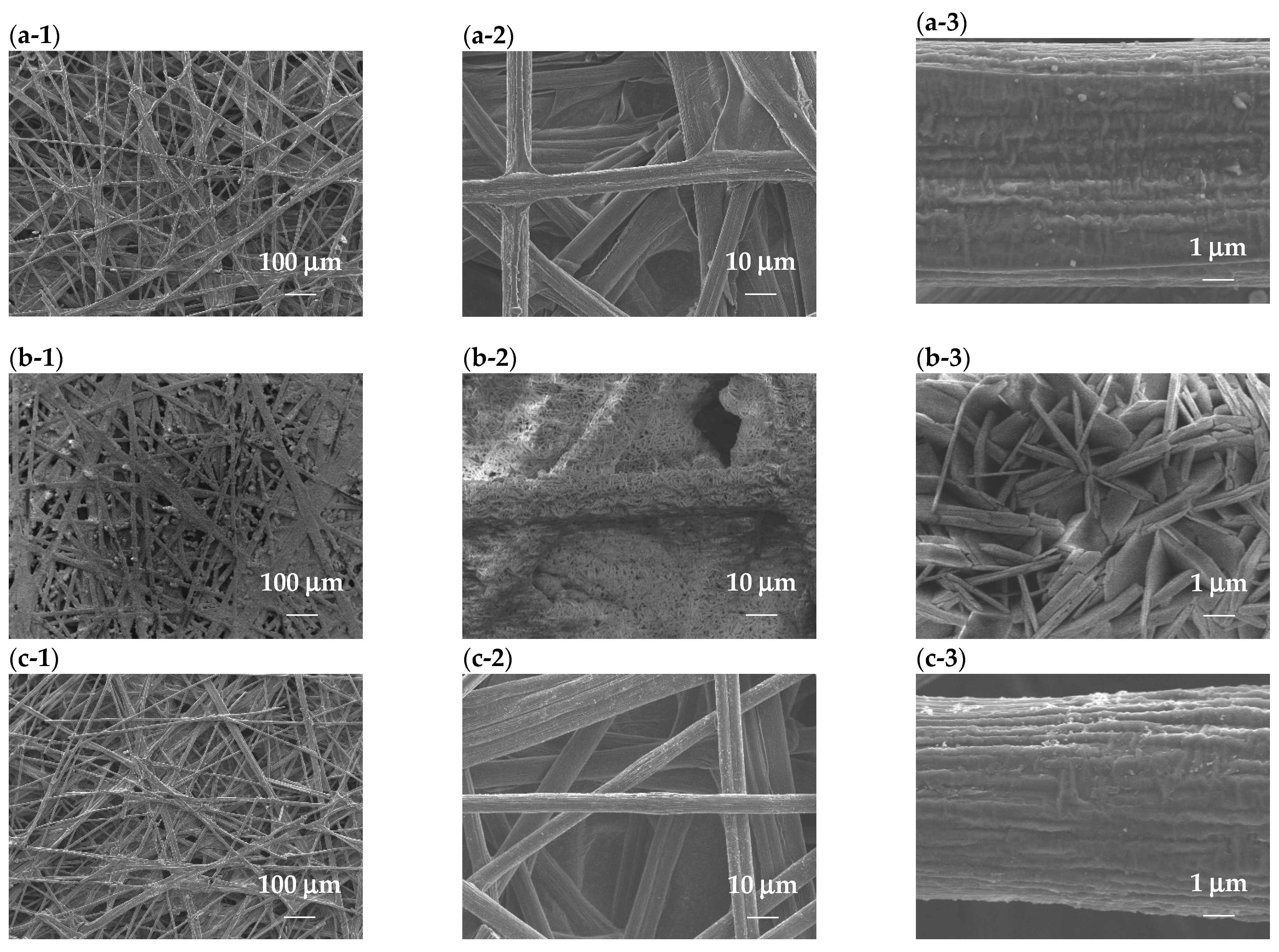 Micromachines 15 00062 g006