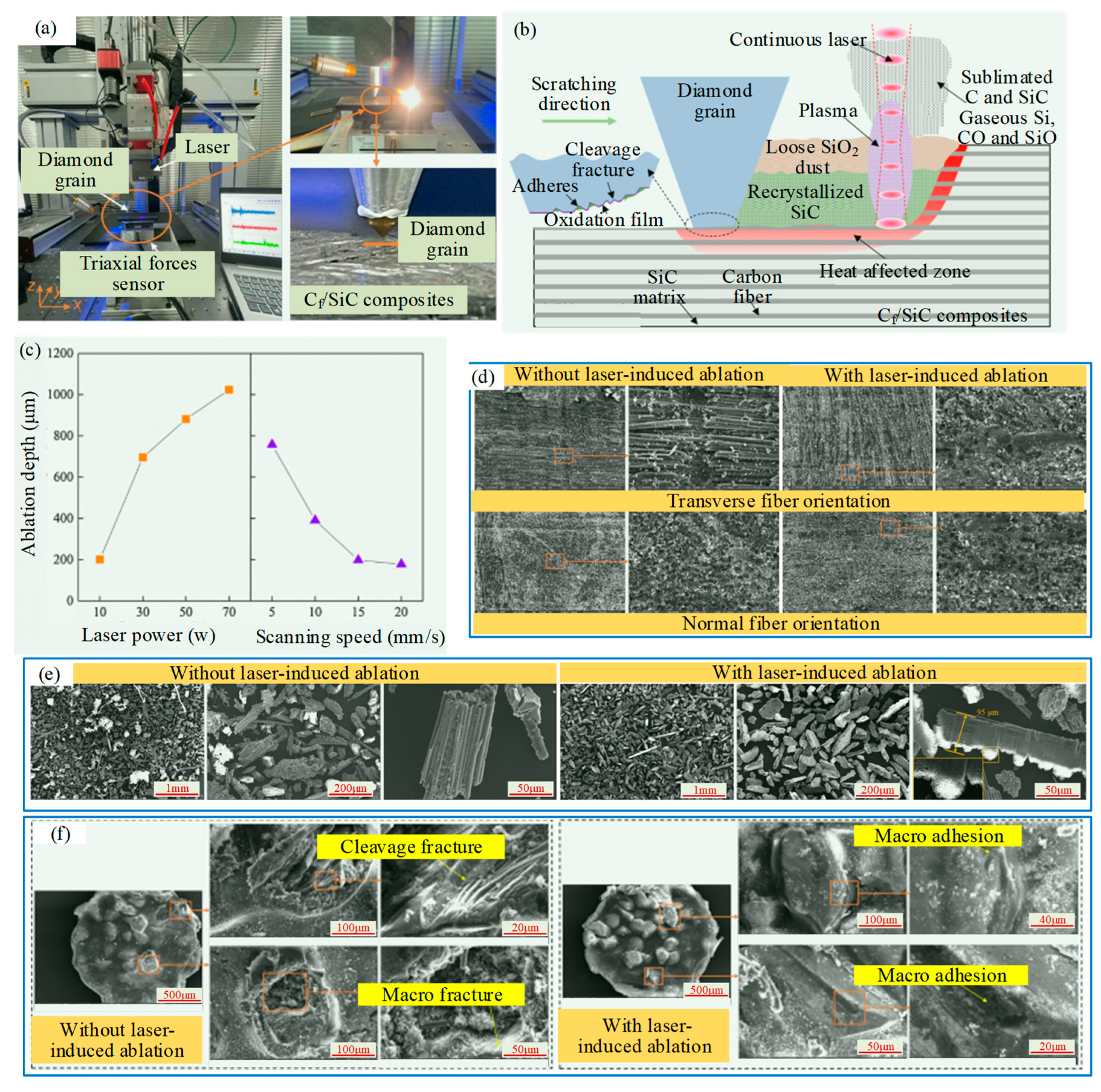 Micromachines 15 00106 g005