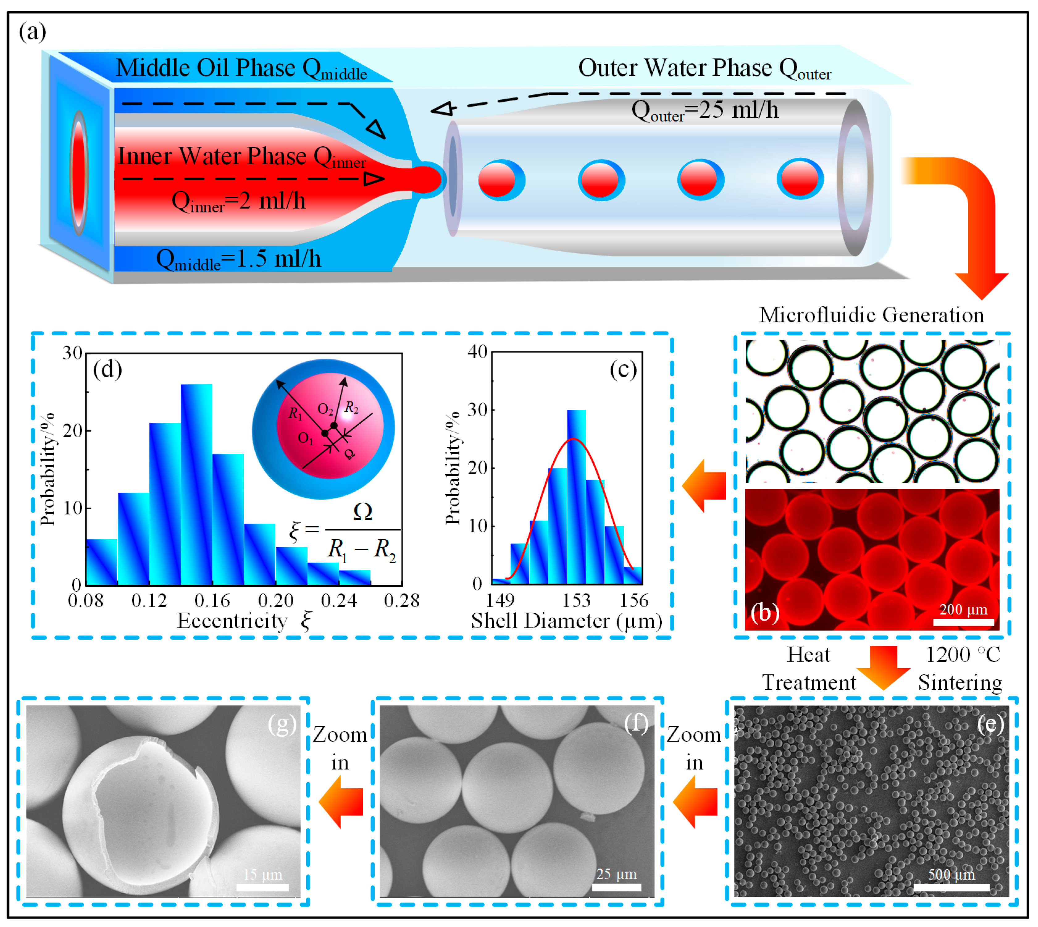 Micromachines 15 00109 g001