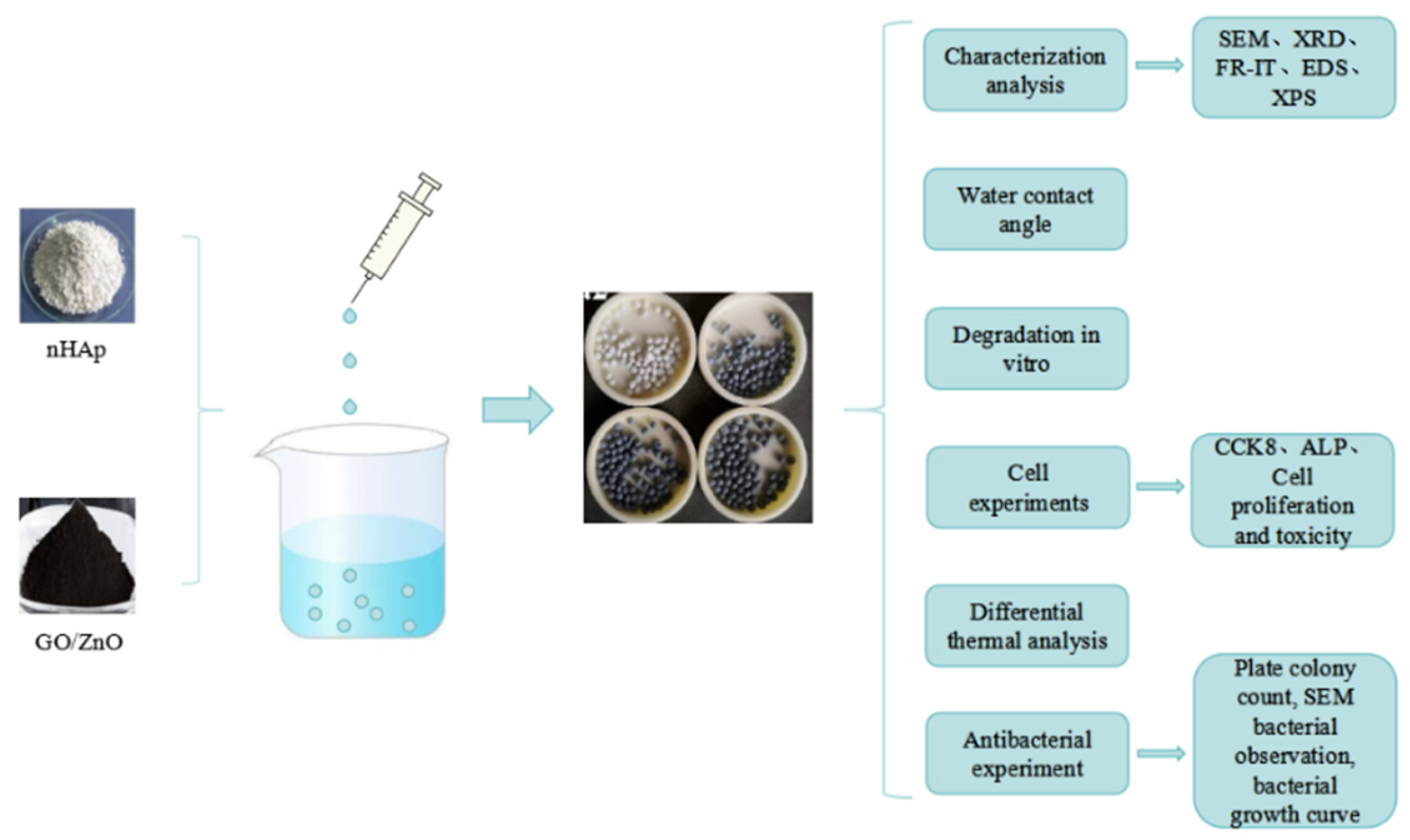 Micromachines 15 00122 g001