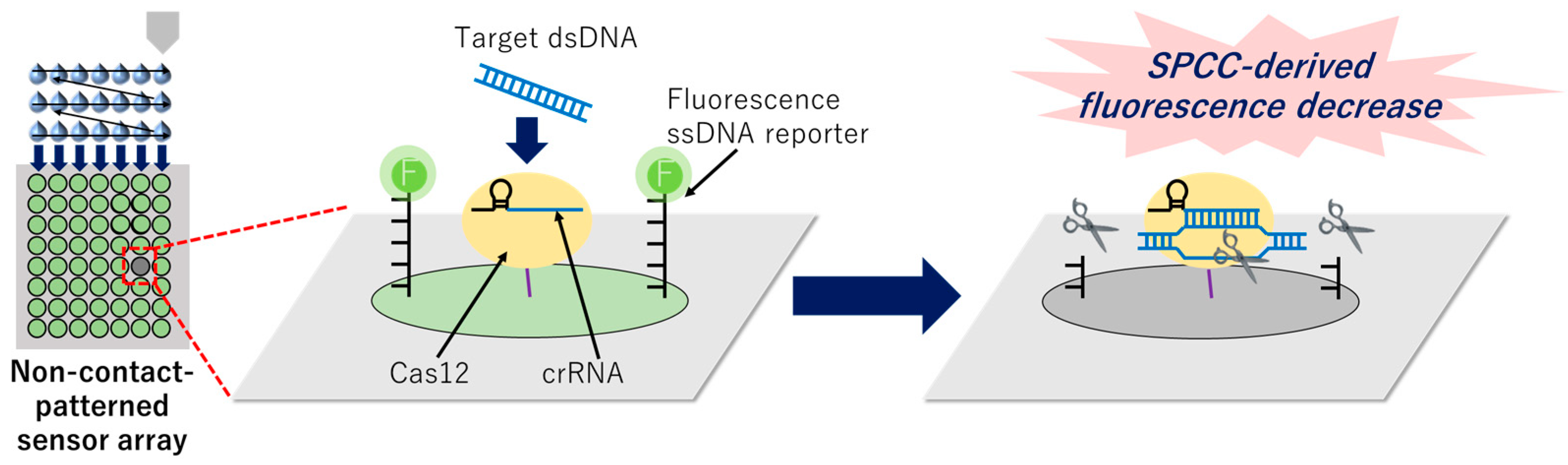 Micromachines 15 00144 g001