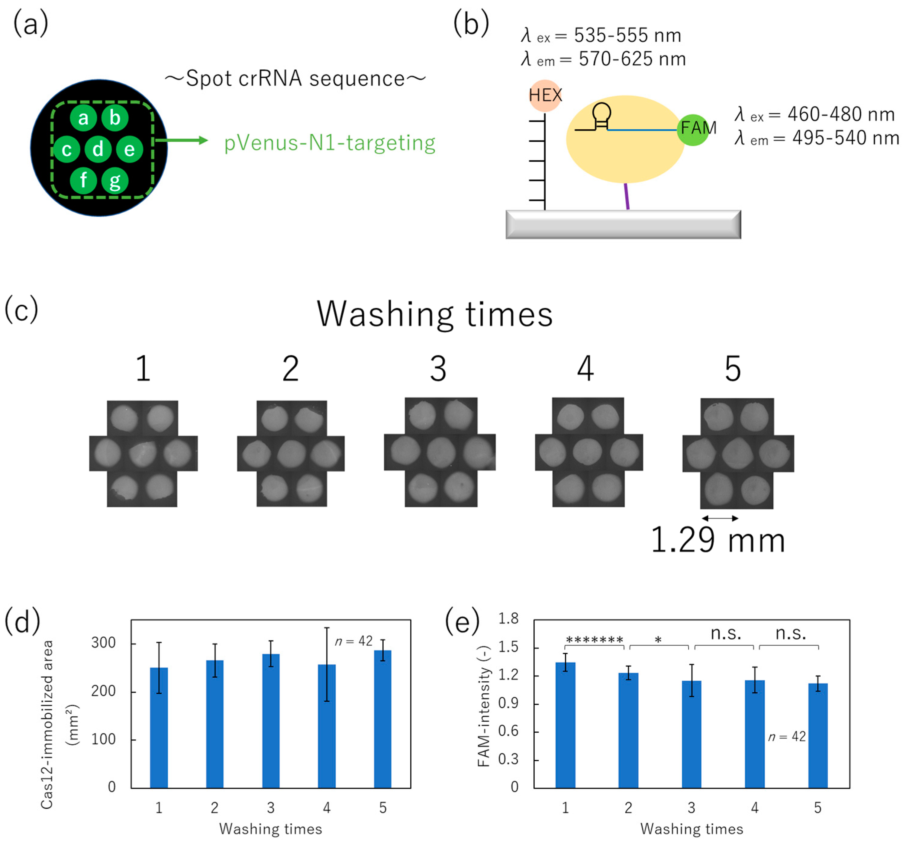 Micromachines 15 00144 g005