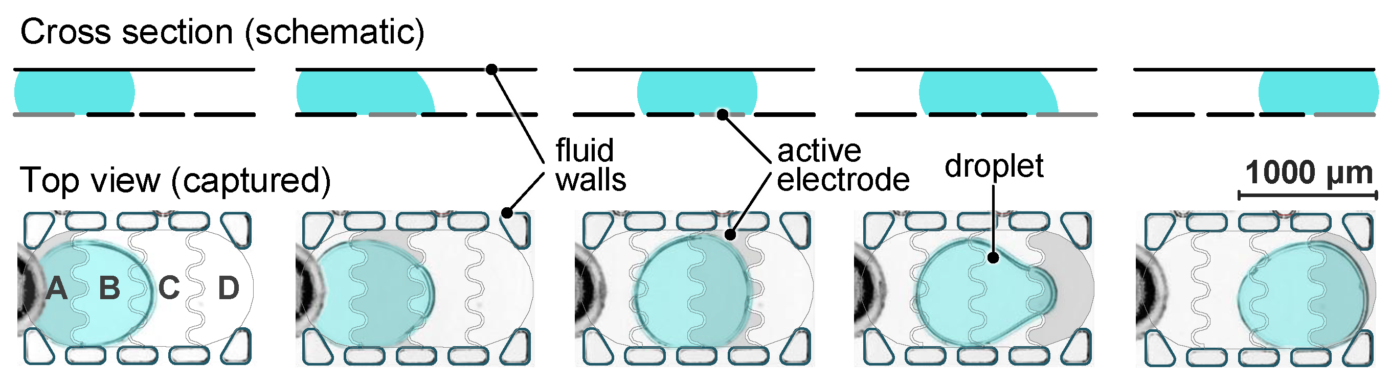 Micromachines 15 00151 g003 Micromachines 15 00151 g003