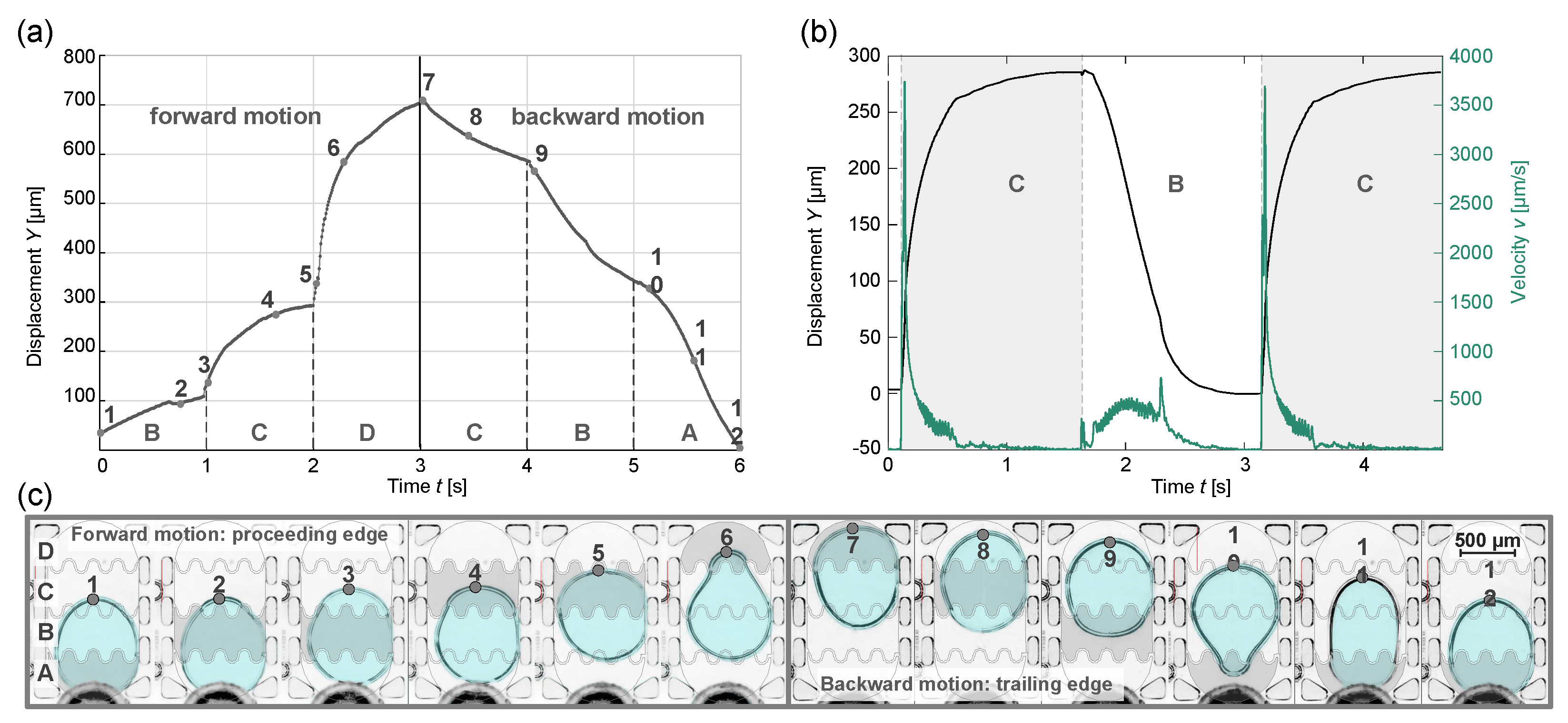 Micromachines 15 00151 g004 Micromachines 15 00151 g004