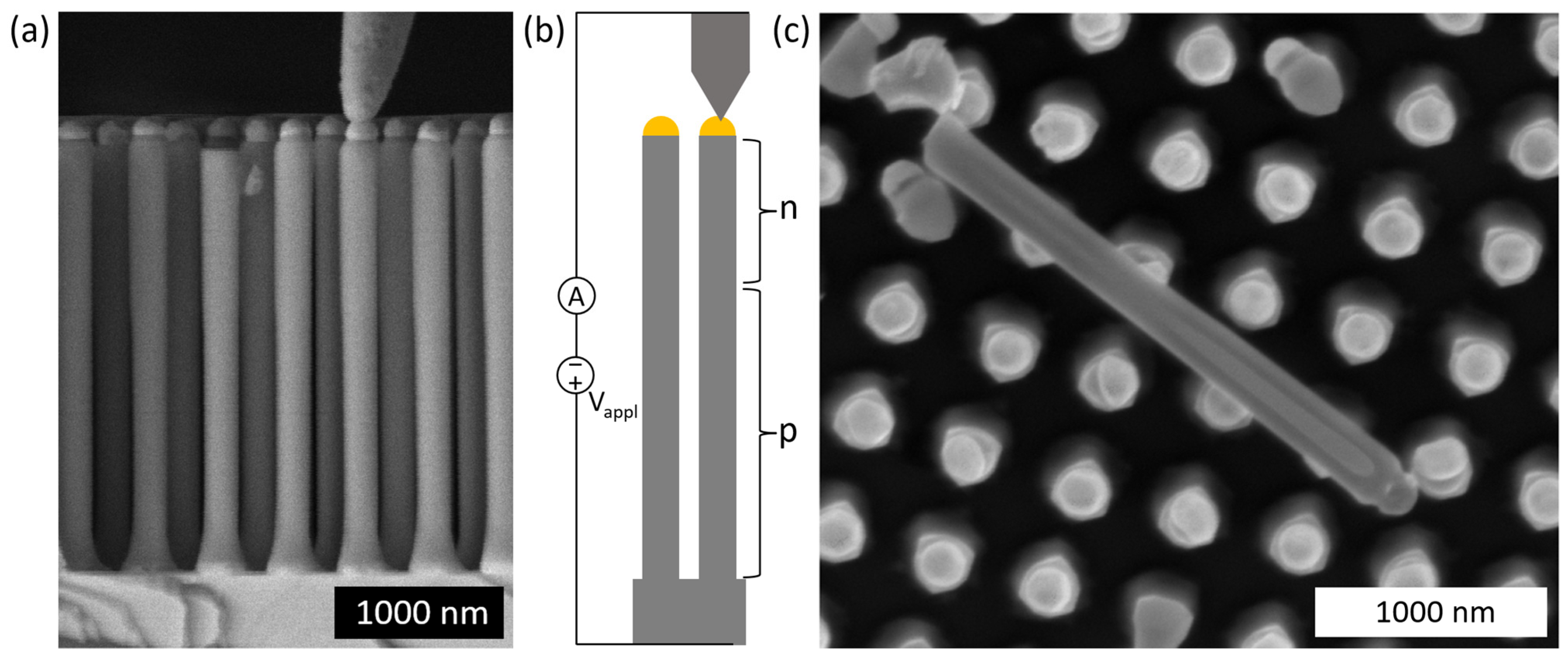 Micromachines 15 00157 g001