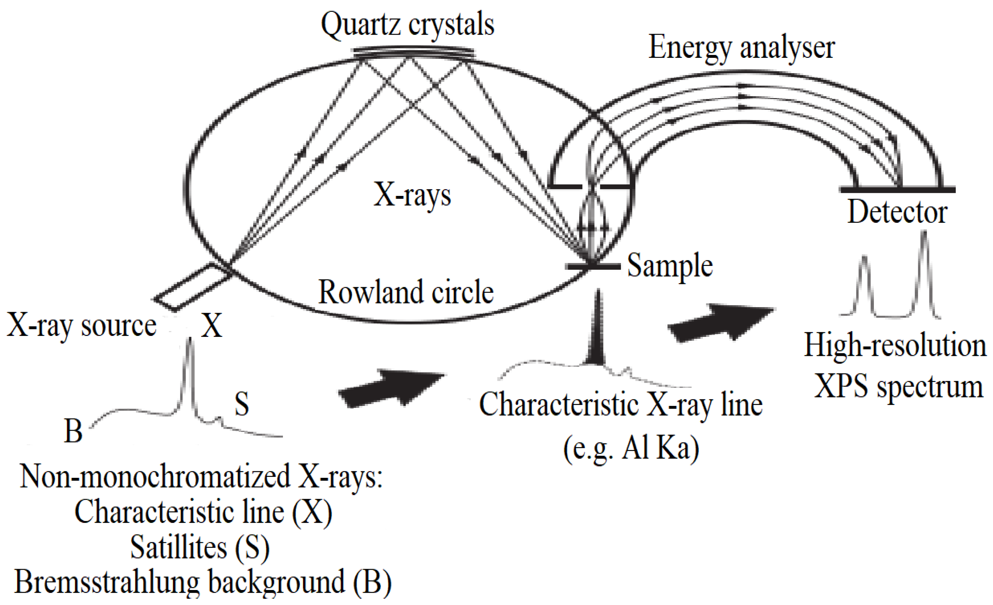Micromachines 15 00175 g003