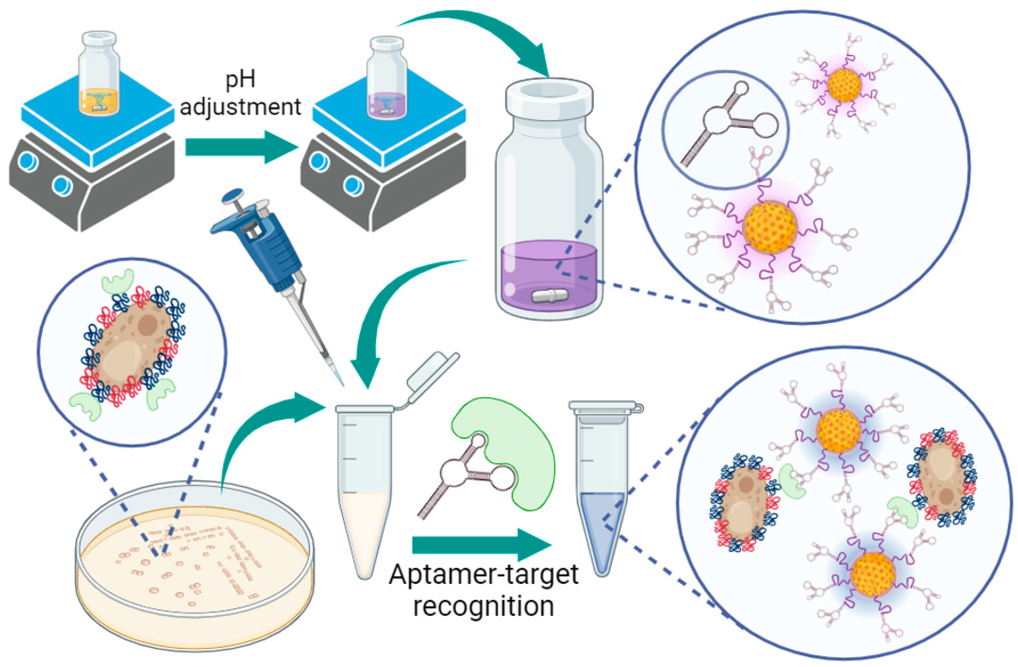 Micromachines 15 00216 g002