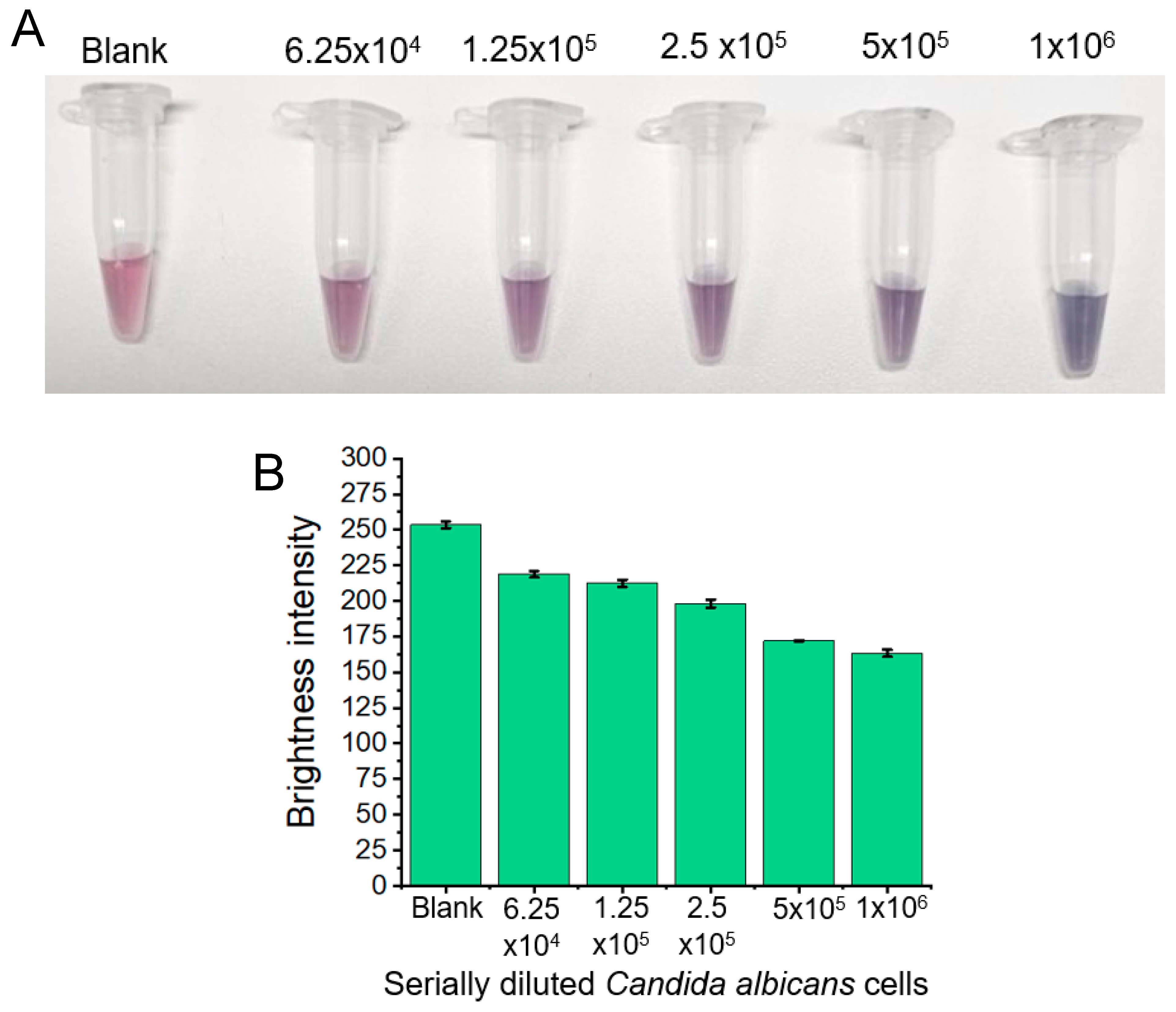Micromachines 15 00216 g004