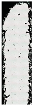Micromachines 15 00278 i012