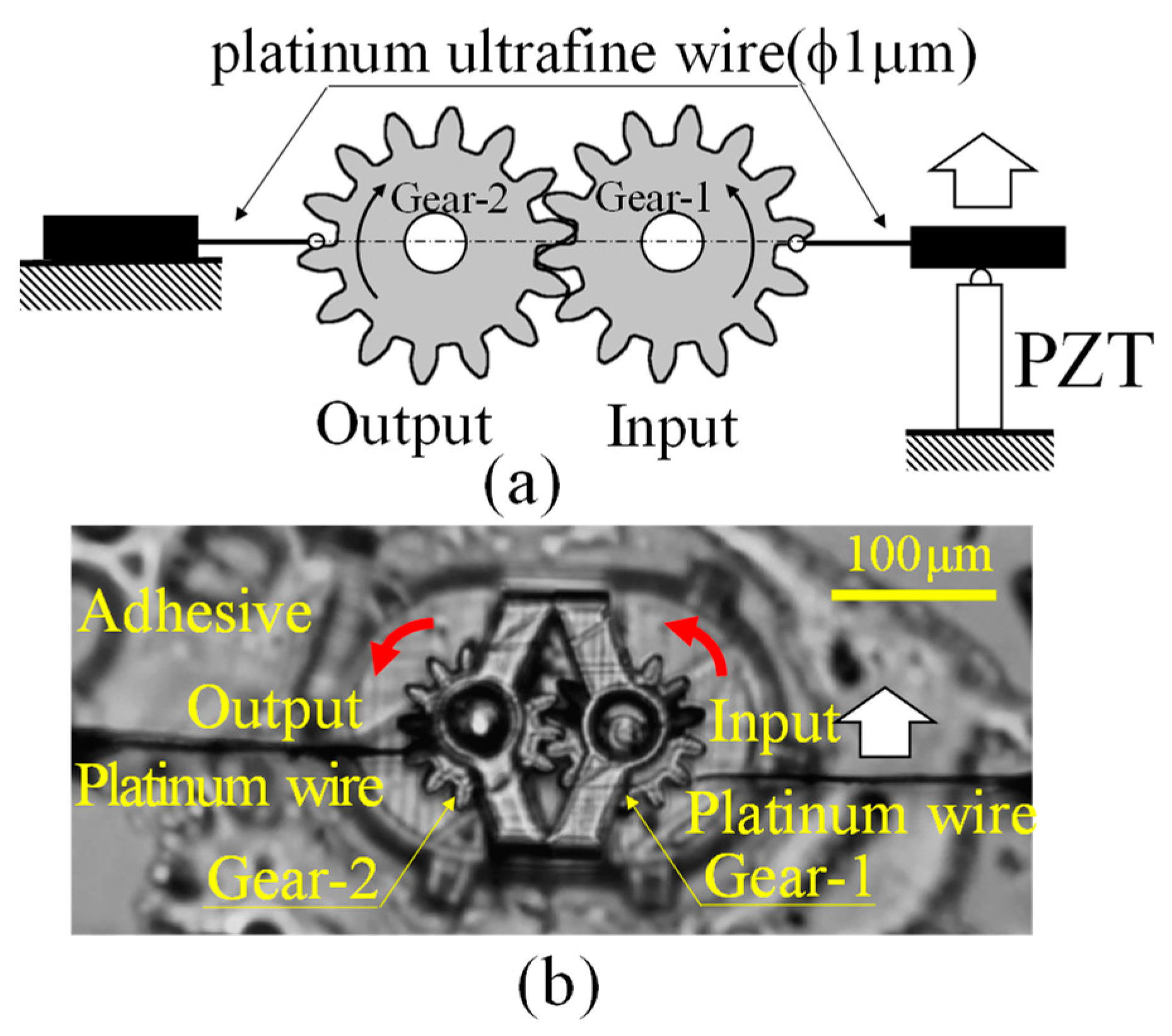 Micromachines 15 00284 g004