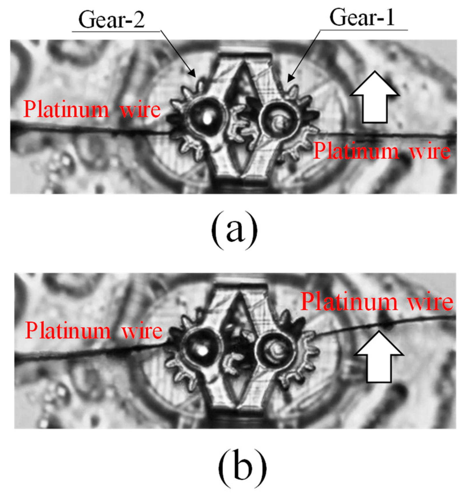 Micromachines 15 00284 g006